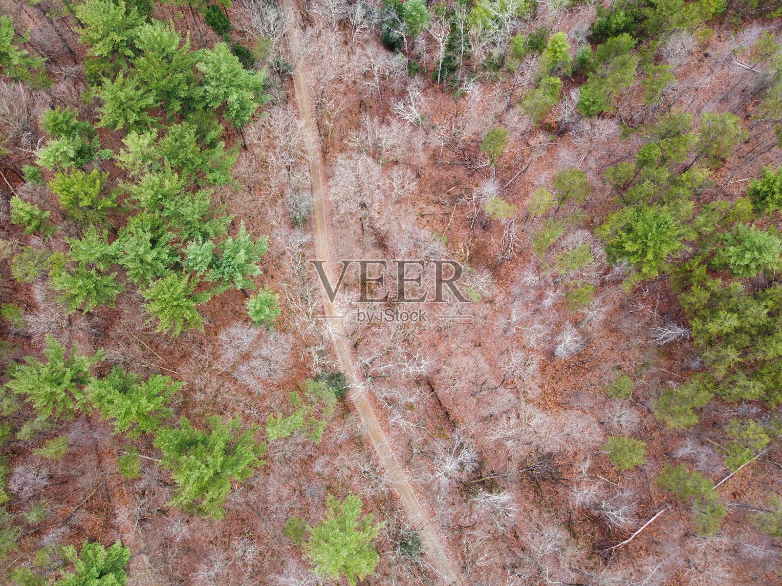 森林鸟瞰图照片摄影图片