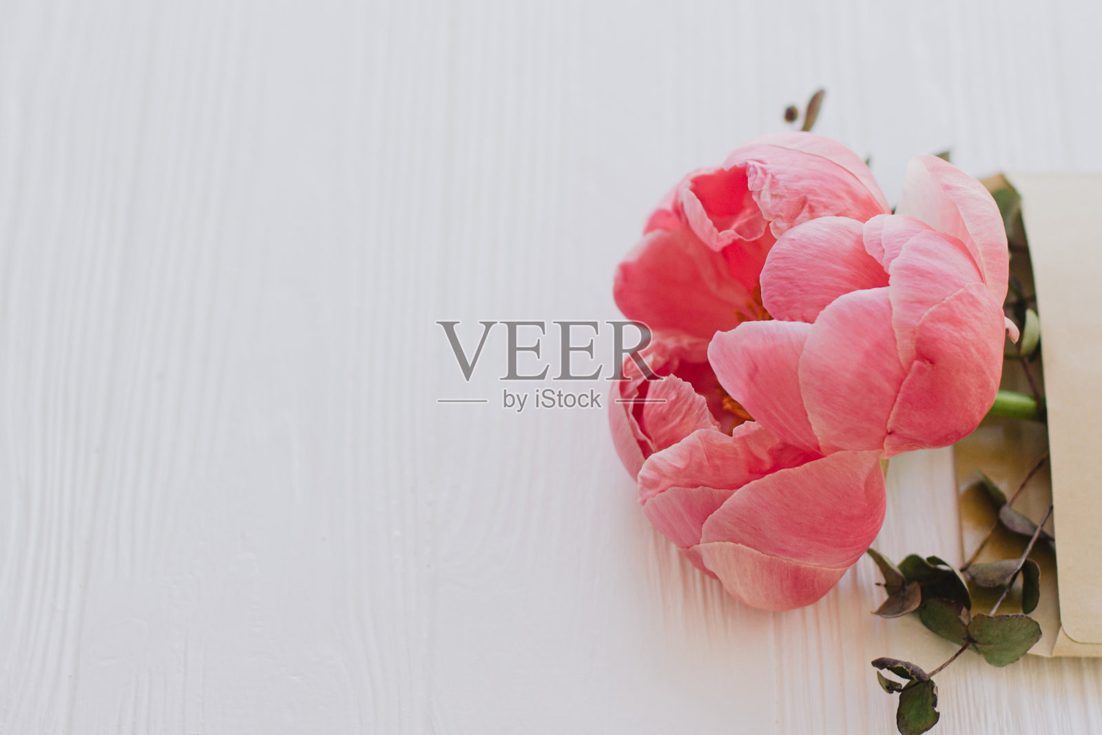 母亲节快乐，妇女节快乐。牡丹和桉树盛开的工艺信封上的白色木材照片摄影图片