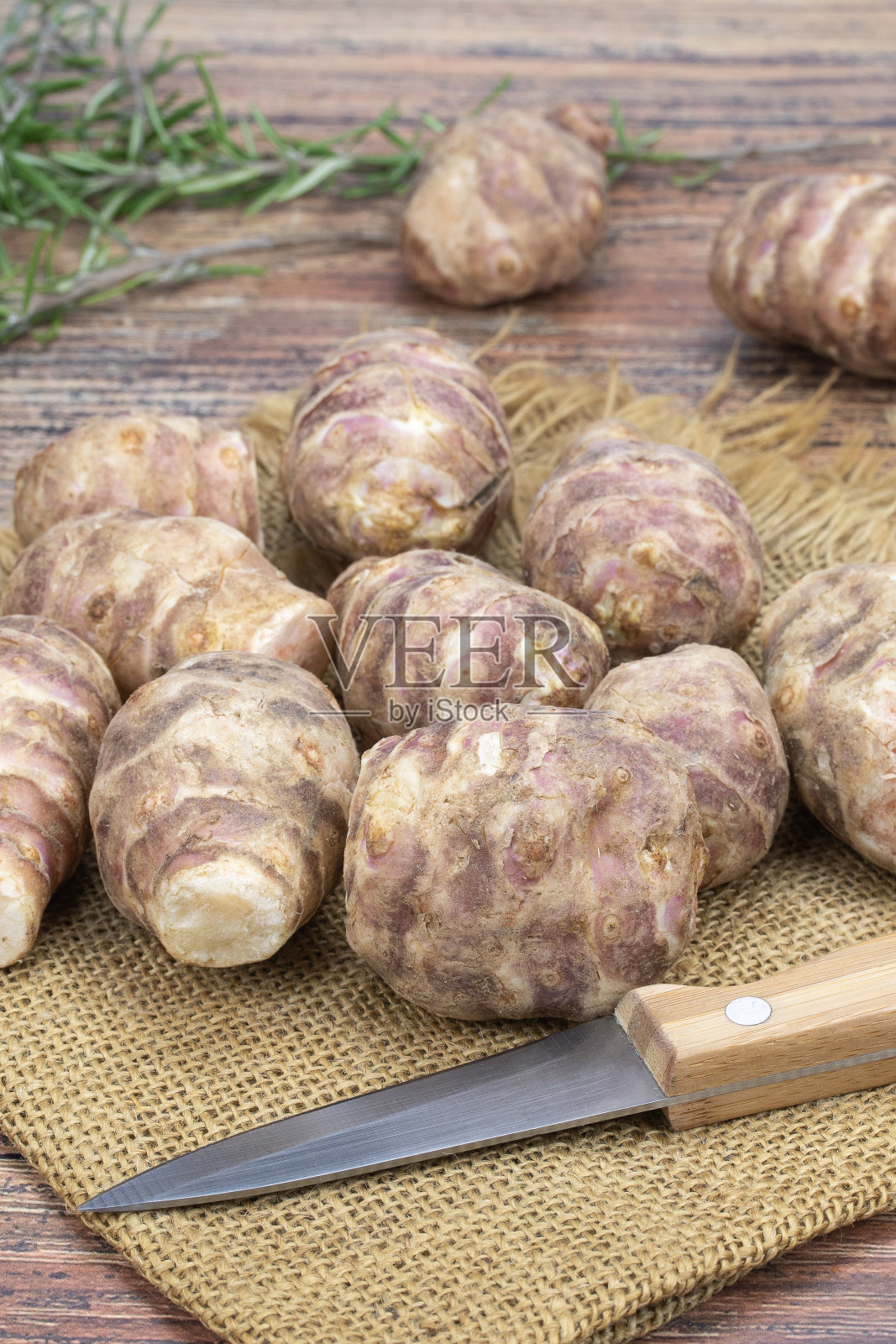 洋姜照片摄影图片