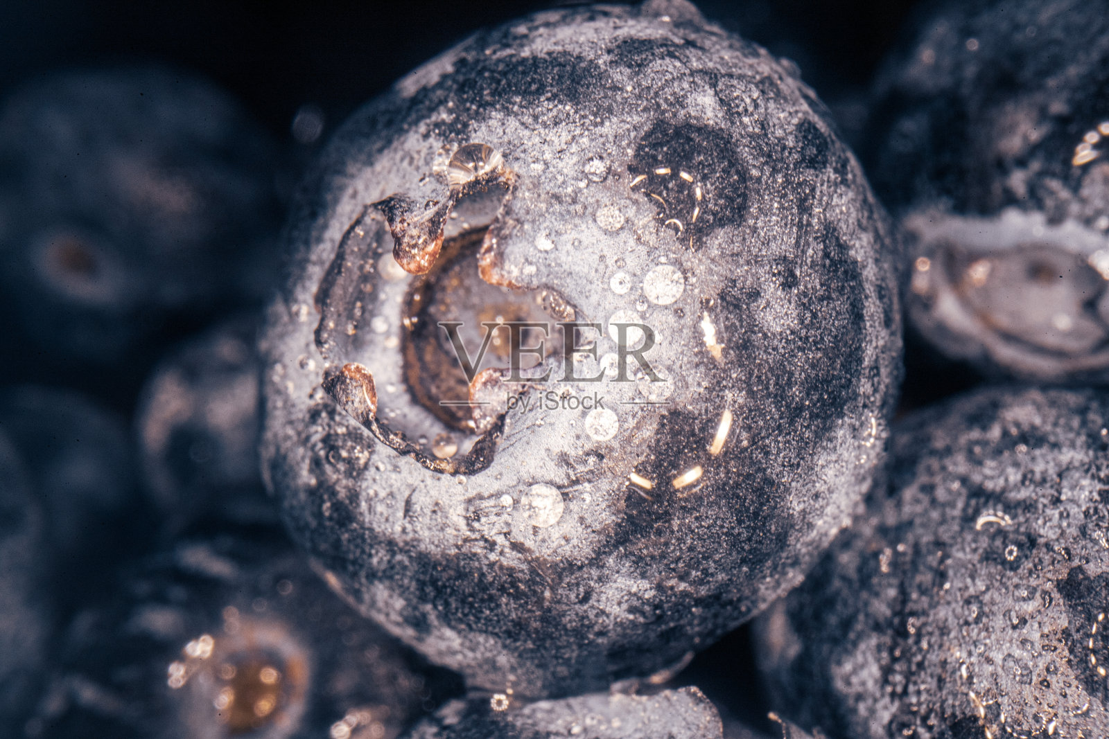 贝瑞可爱照片摄影图片