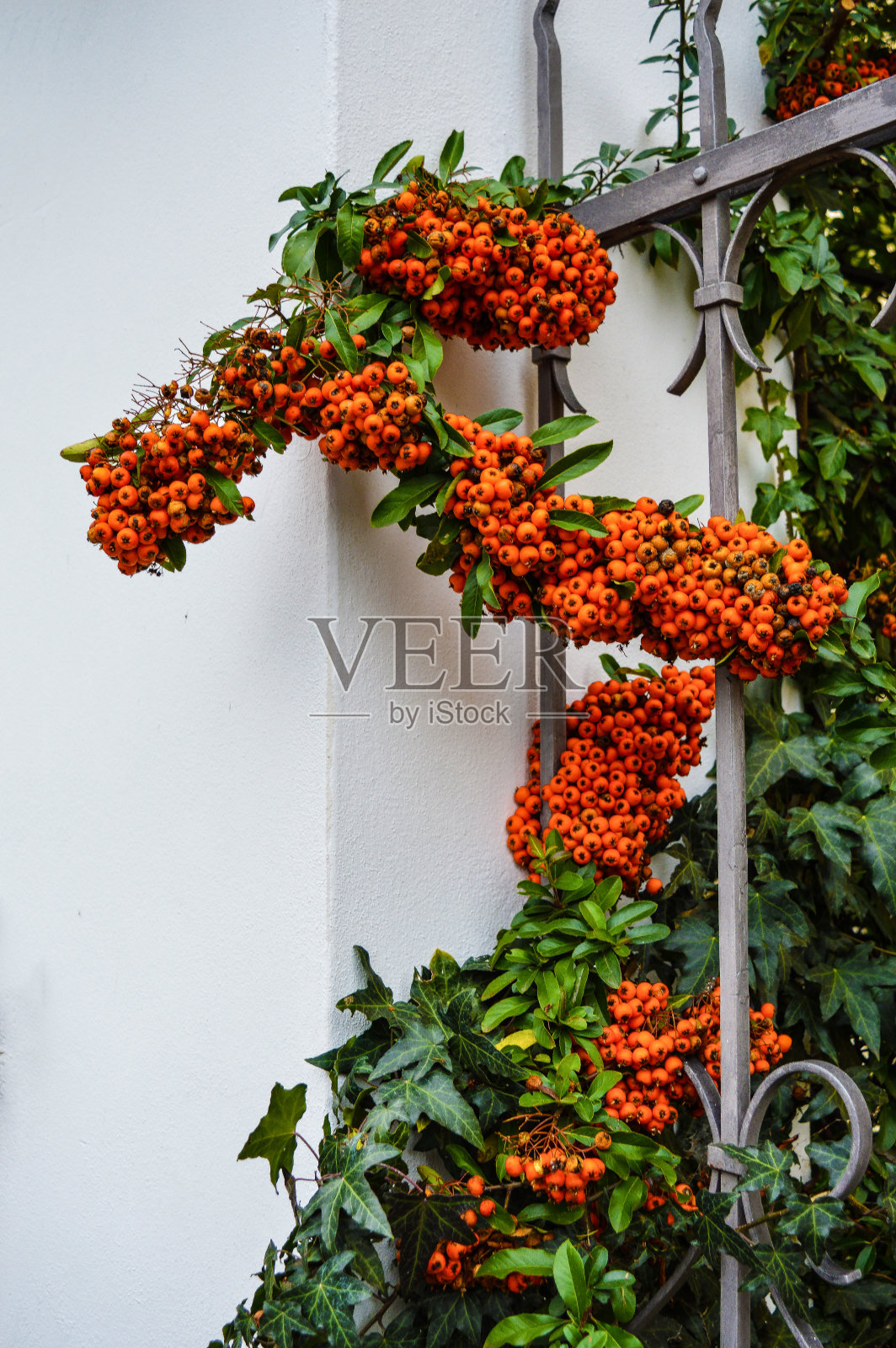 布拉格照片摄影图片