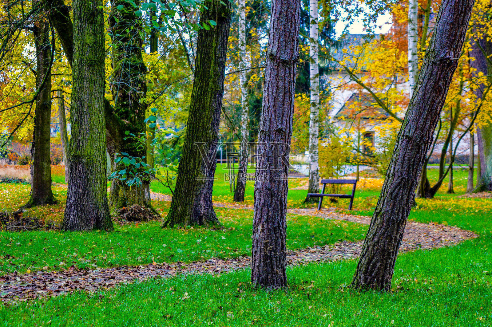 秋天布拉格照片摄影图片