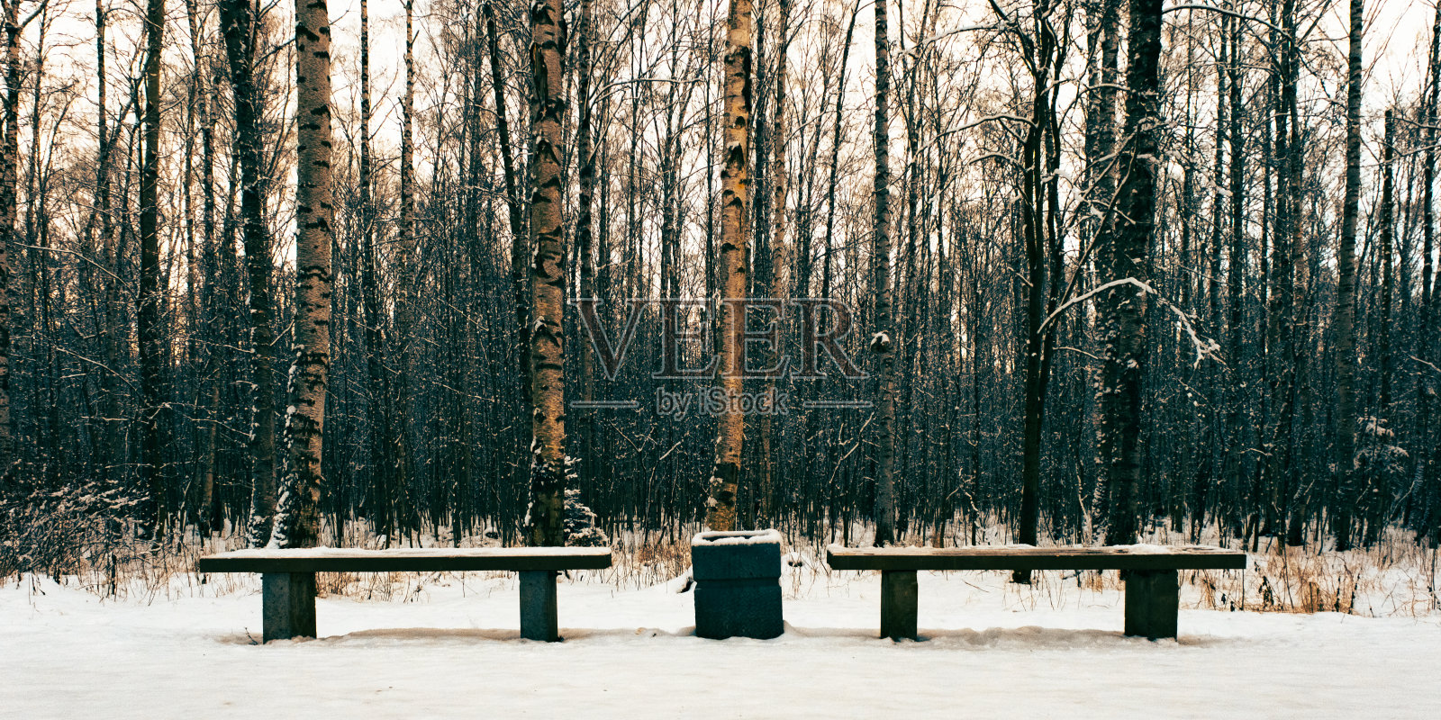 在一个阴云密布的夜晚，两张冰冷的长椅孤零零地站在公园里照片摄影图片