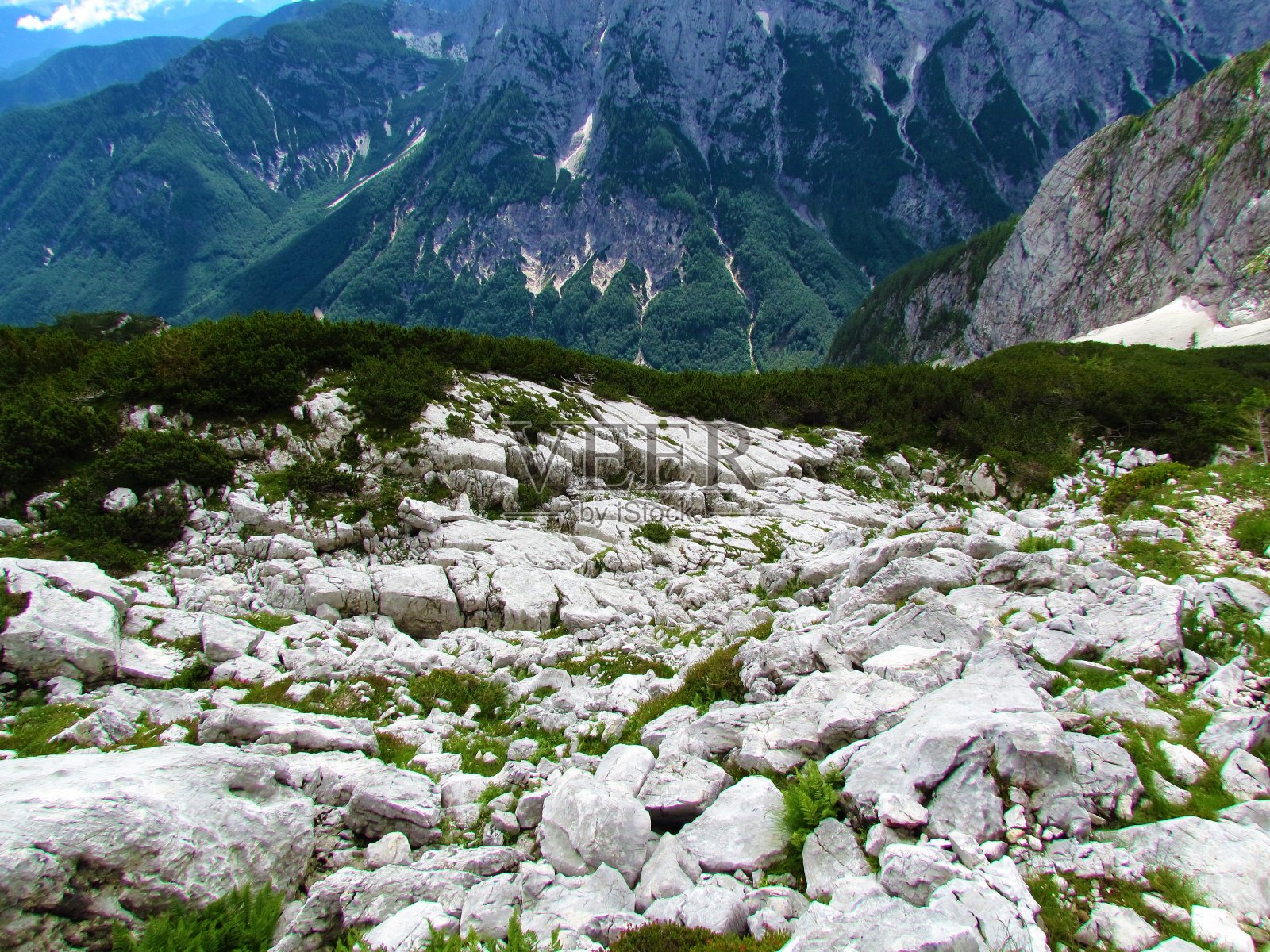 斯洛文尼亚朱利安阿尔卑斯和特里格拉夫国家公园的石灰岩喀斯特岩层照片摄影图片