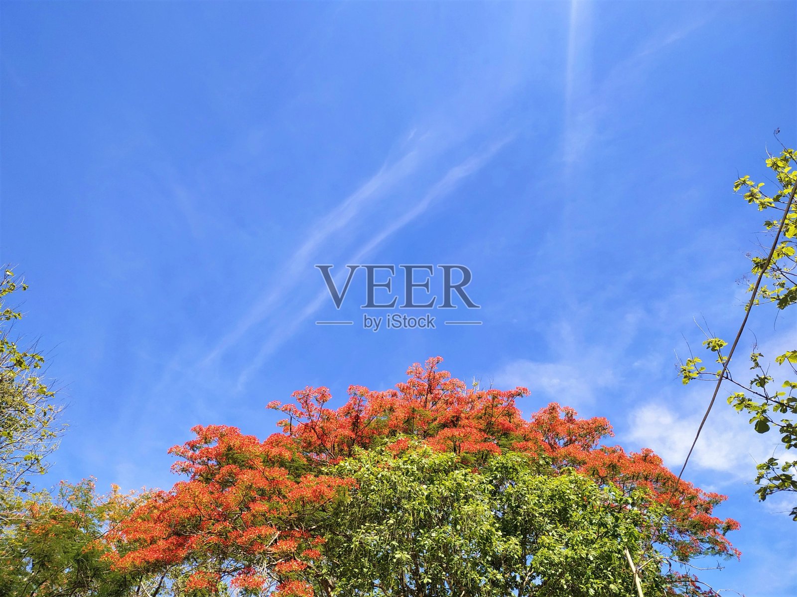 蓝天白云照片摄影图片