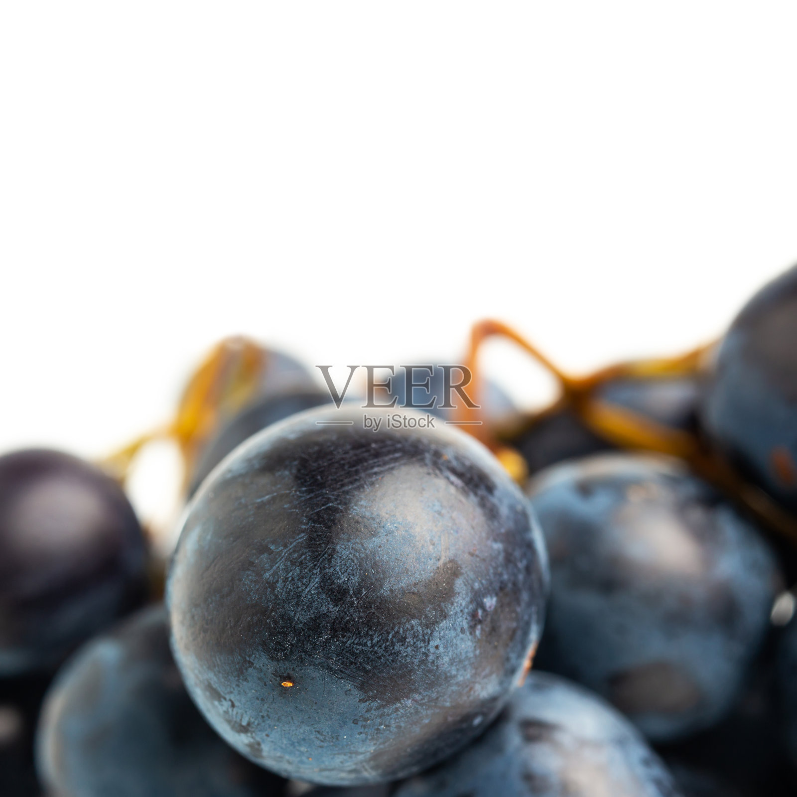 深蓝的葡萄果实孤立在白色背景，近距离观看照片摄影图片