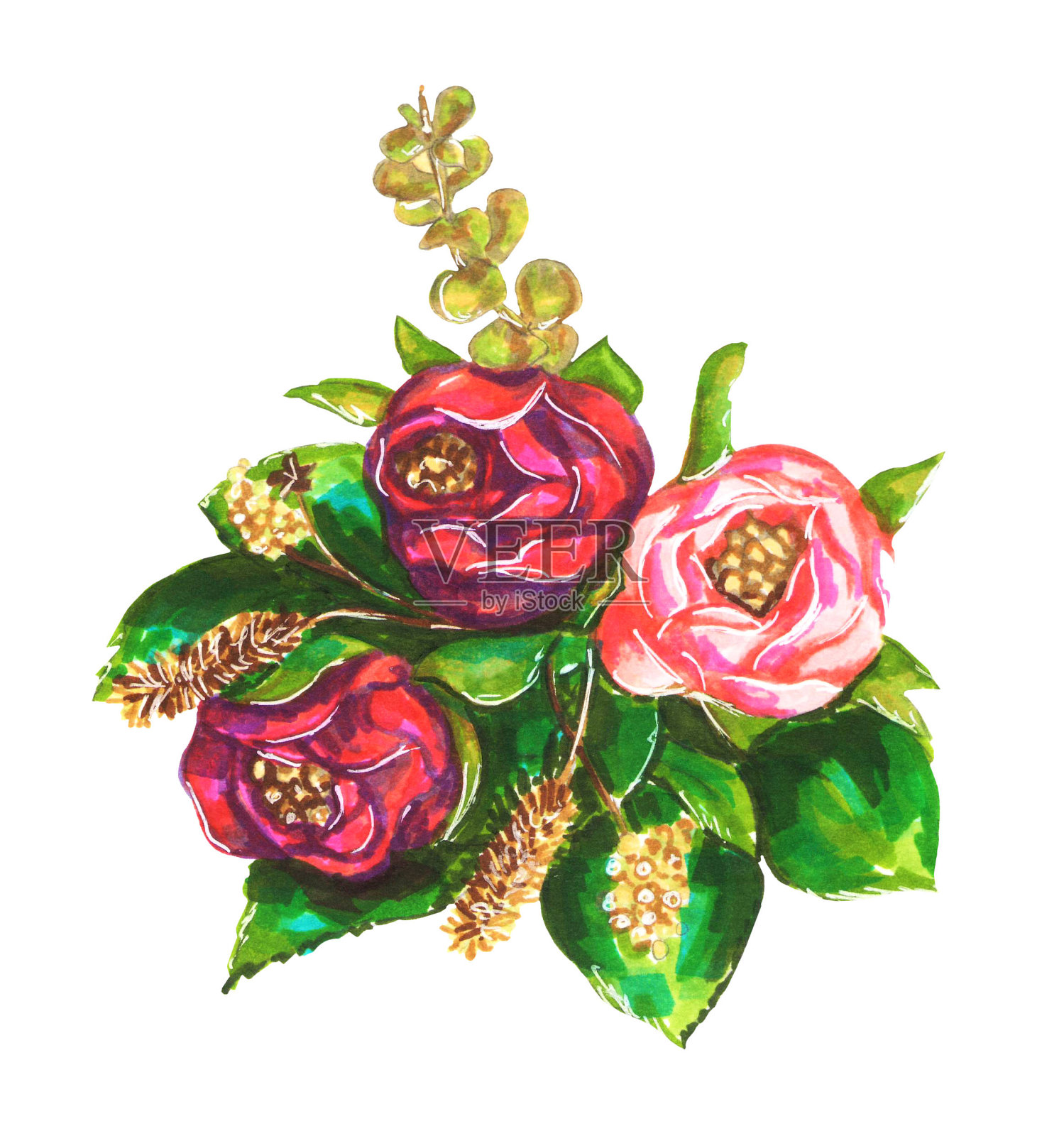 由粉红色和勃艮第的花和各种各样的叶子组成插画图片素材