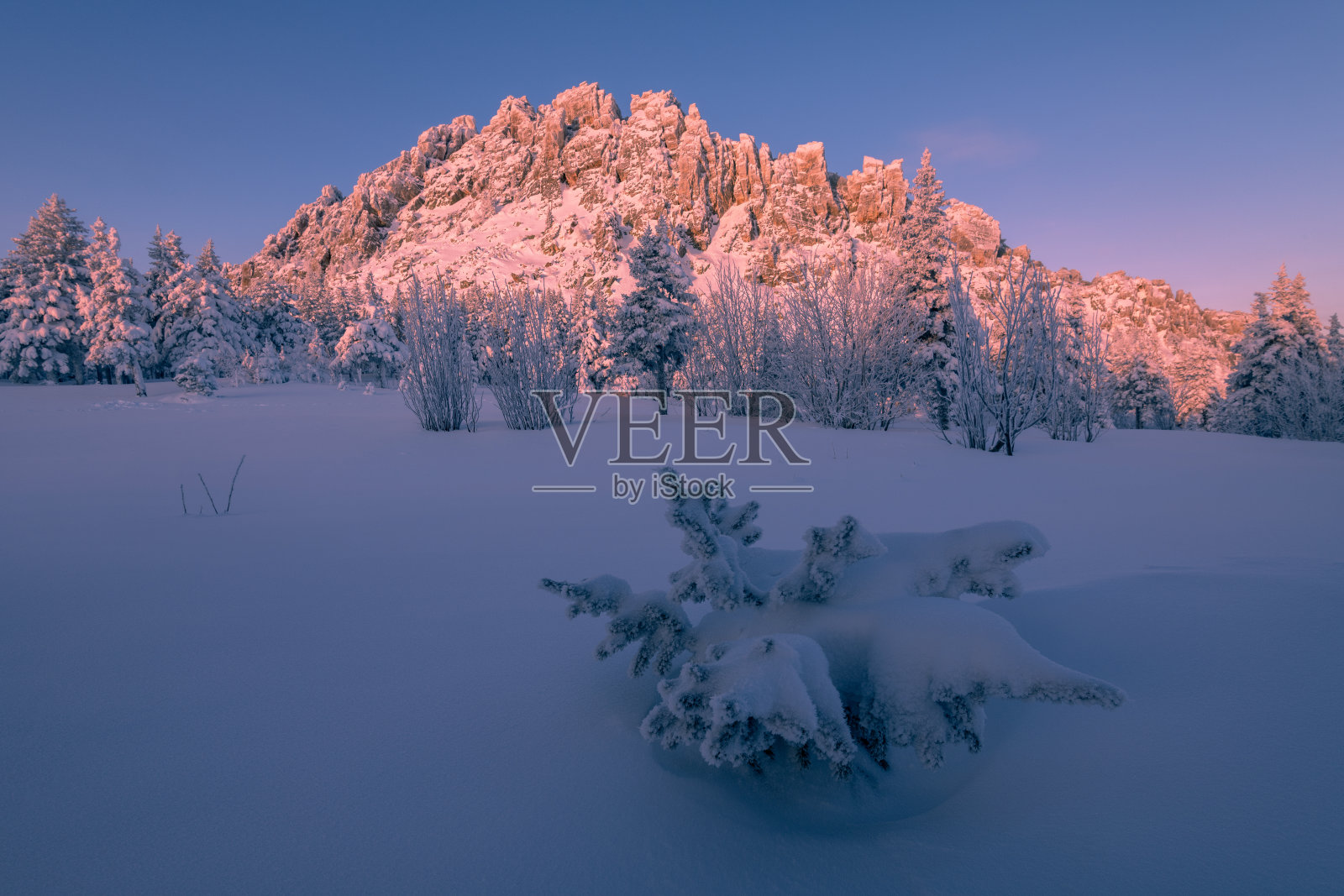 塔加内公园冬天的早晨有霜。俄罗斯。照片摄影图片