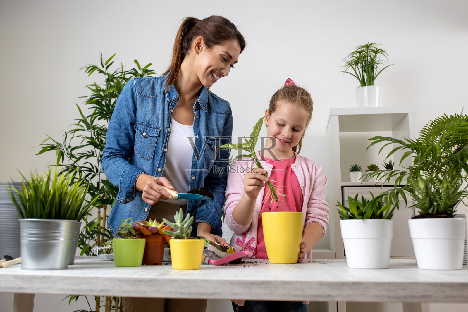 一个小女孩正抱着一株即将被重新栽植的植物照片摄影图片