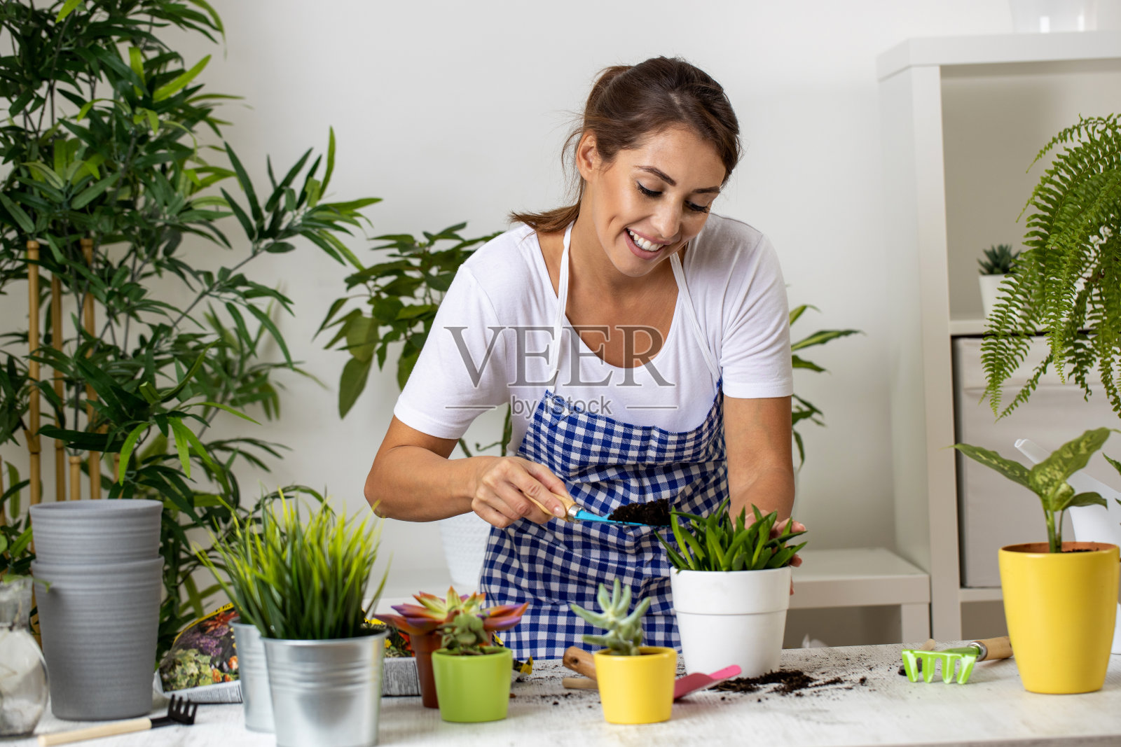 漂亮的年轻女子房子园艺用手铲工具照片摄影图片