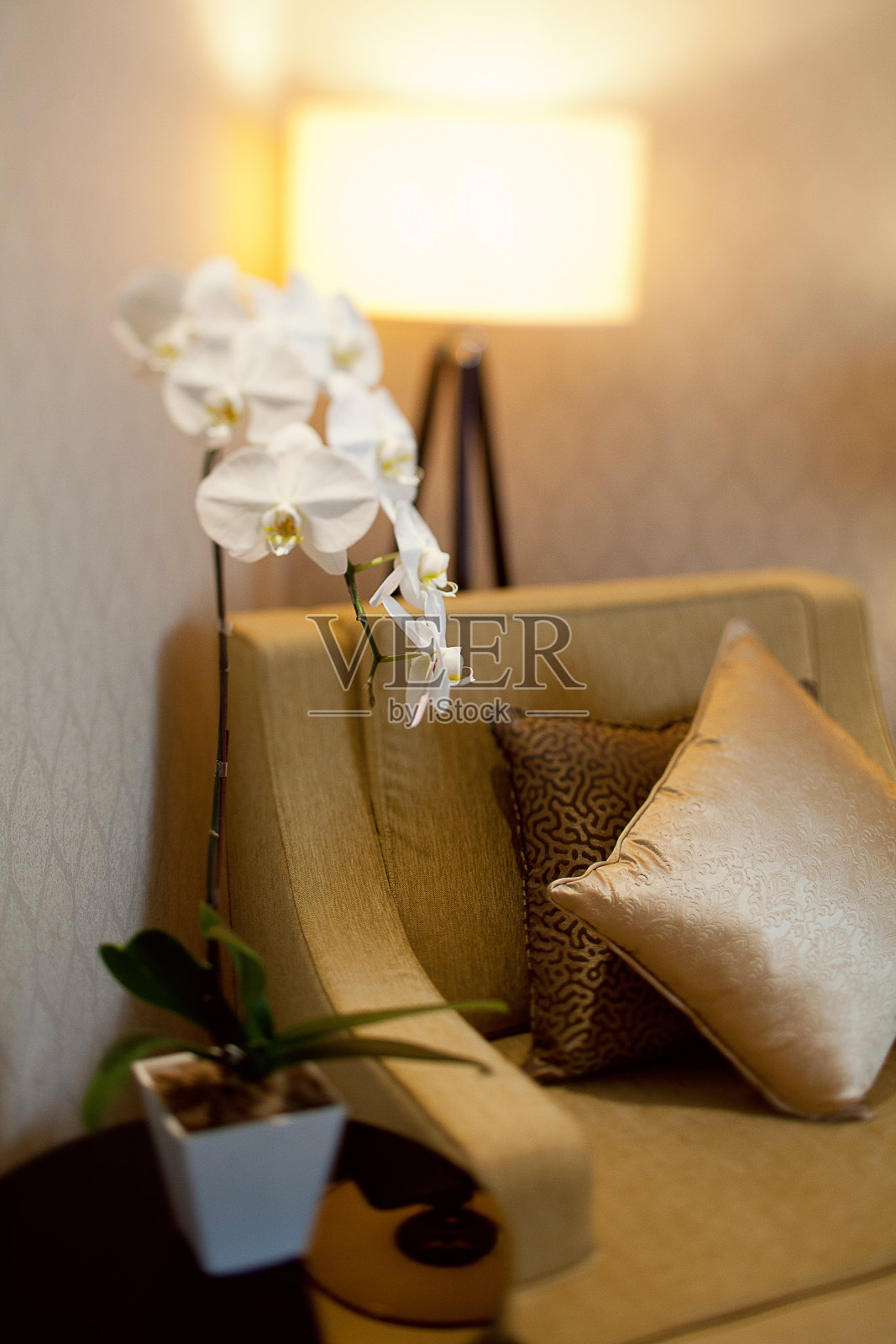 倾斜移位效果单沙发座椅与盆栽兰花照片摄影图片