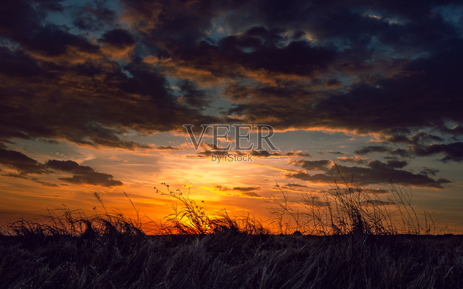 田野景观在夏季日落和日出照片摄影图片