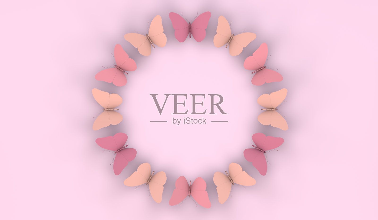 粉红色的圆形背景和蝴蝶。3 d演示。花型和春季风格。照片摄影图片