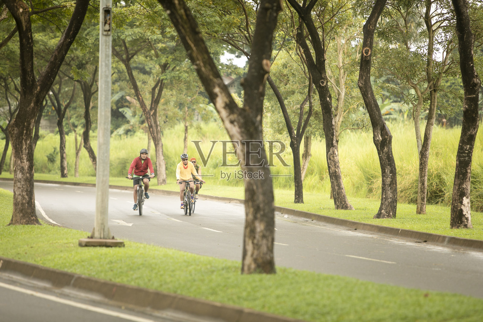 一群人在早上骑自行车照片摄影图片