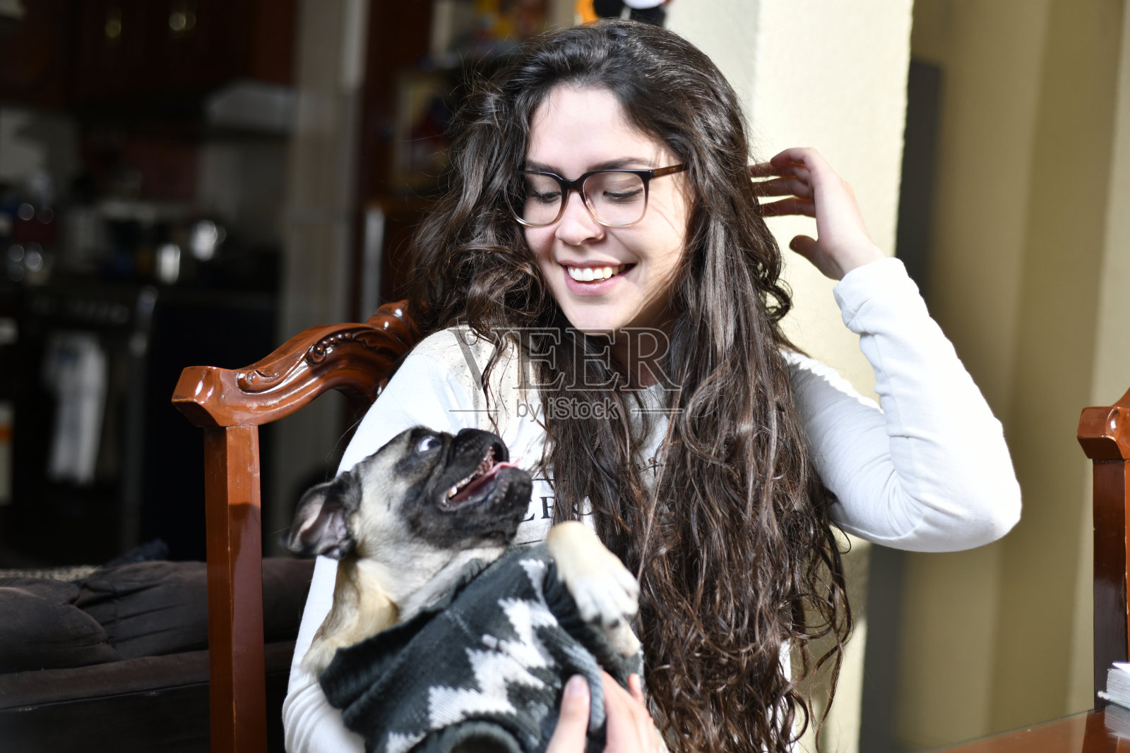可爱的帕格，拉着一个年轻女人的头发照片摄影图片