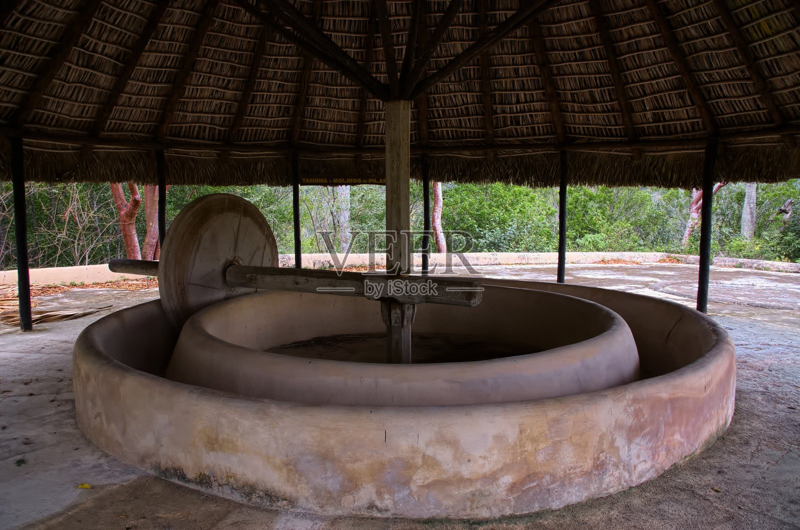 Cafetal Buenavista咖啡磨坊照片摄影图片