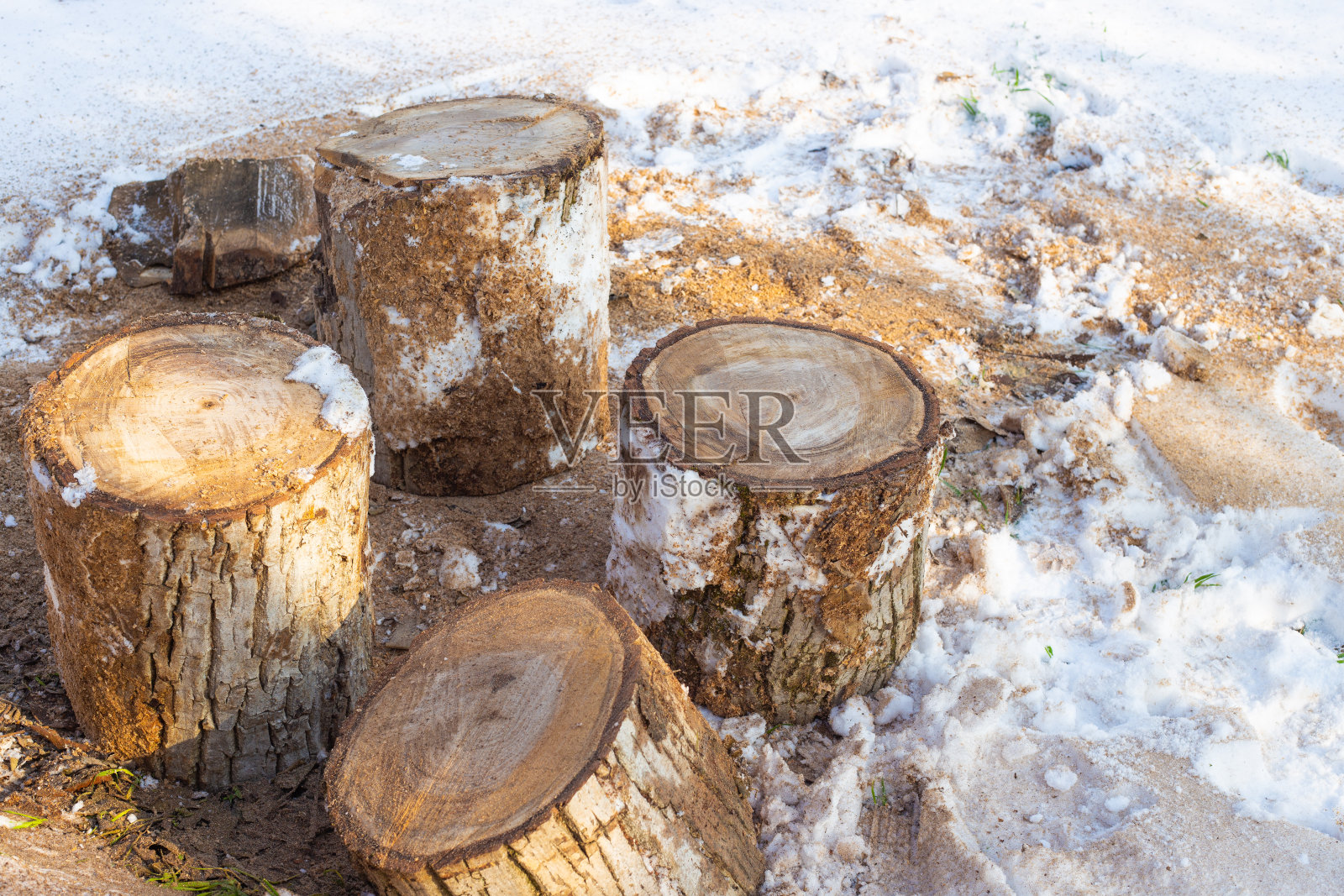 冬天在雪地里把树锯成厚块。为私人住宅供暖照片摄影图片
