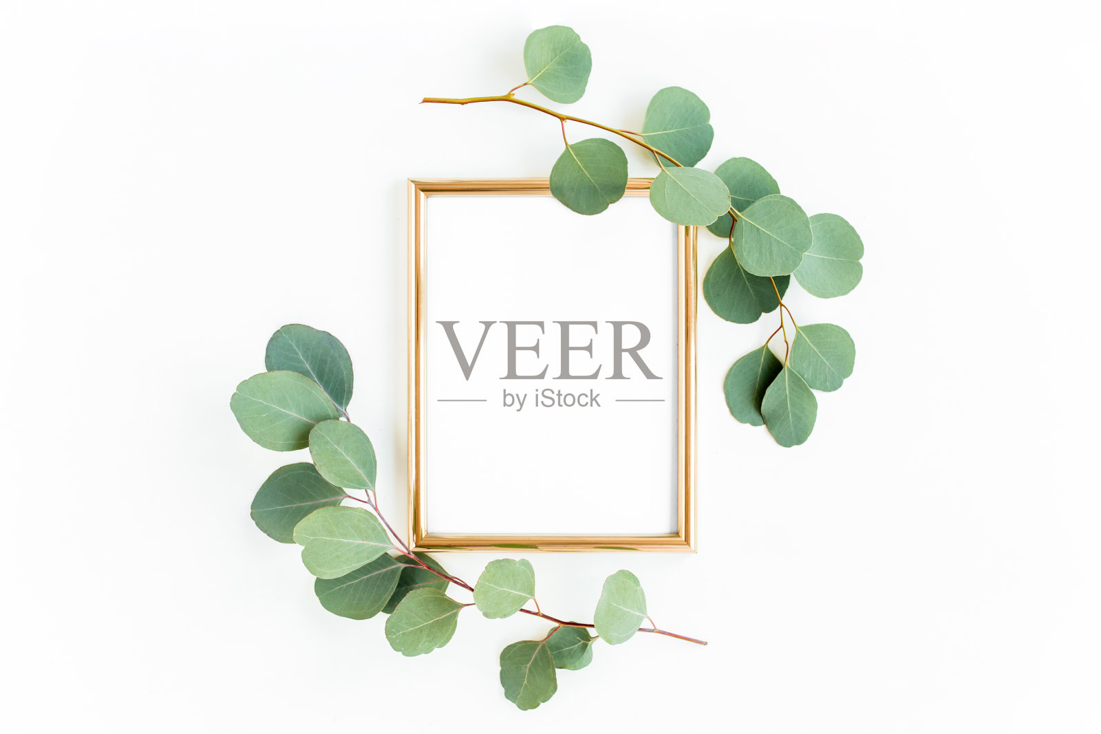 金色的框架上点缀着绿色的树枝和桉树叶，背景是白色的。平放，俯视图照片摄影图片