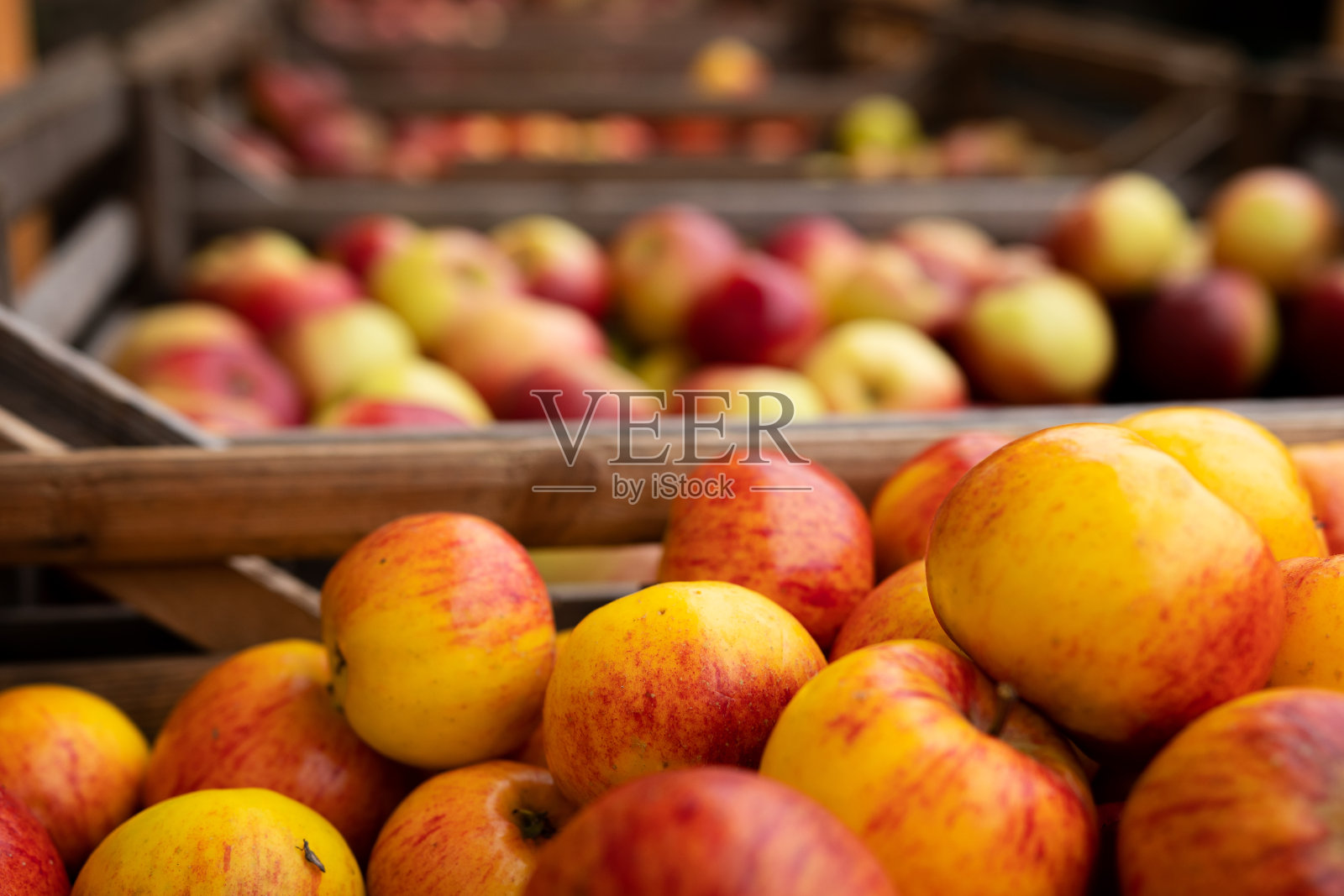 市场上出售的有机苹果照片摄影图片