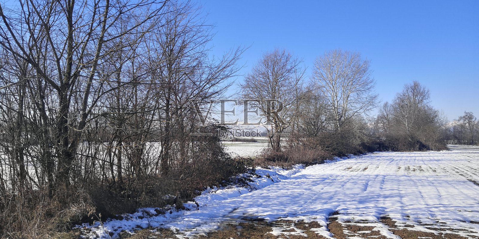 雪景全景照片摄影图片