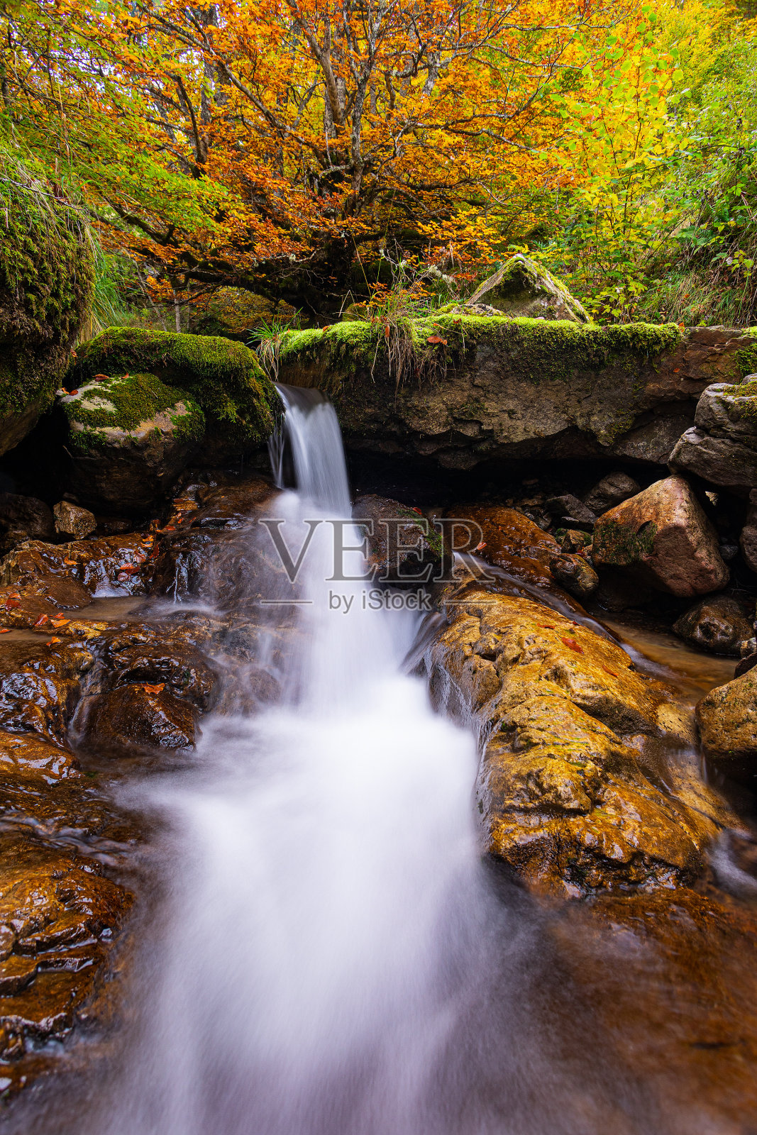 阿罗约2照片摄影图片