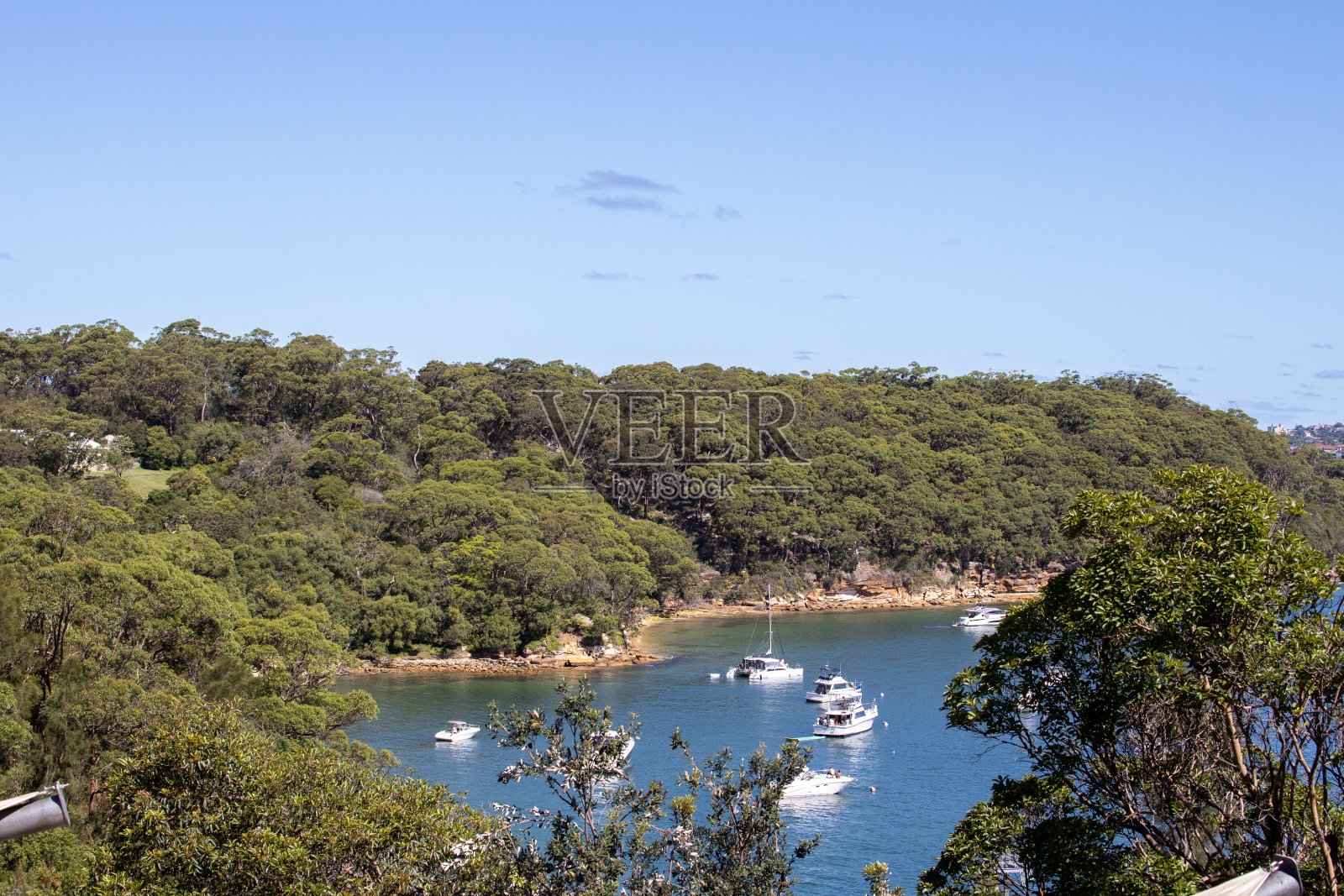 晴朗蓝天下悉尼海港和中央商务区景观照片摄影图片