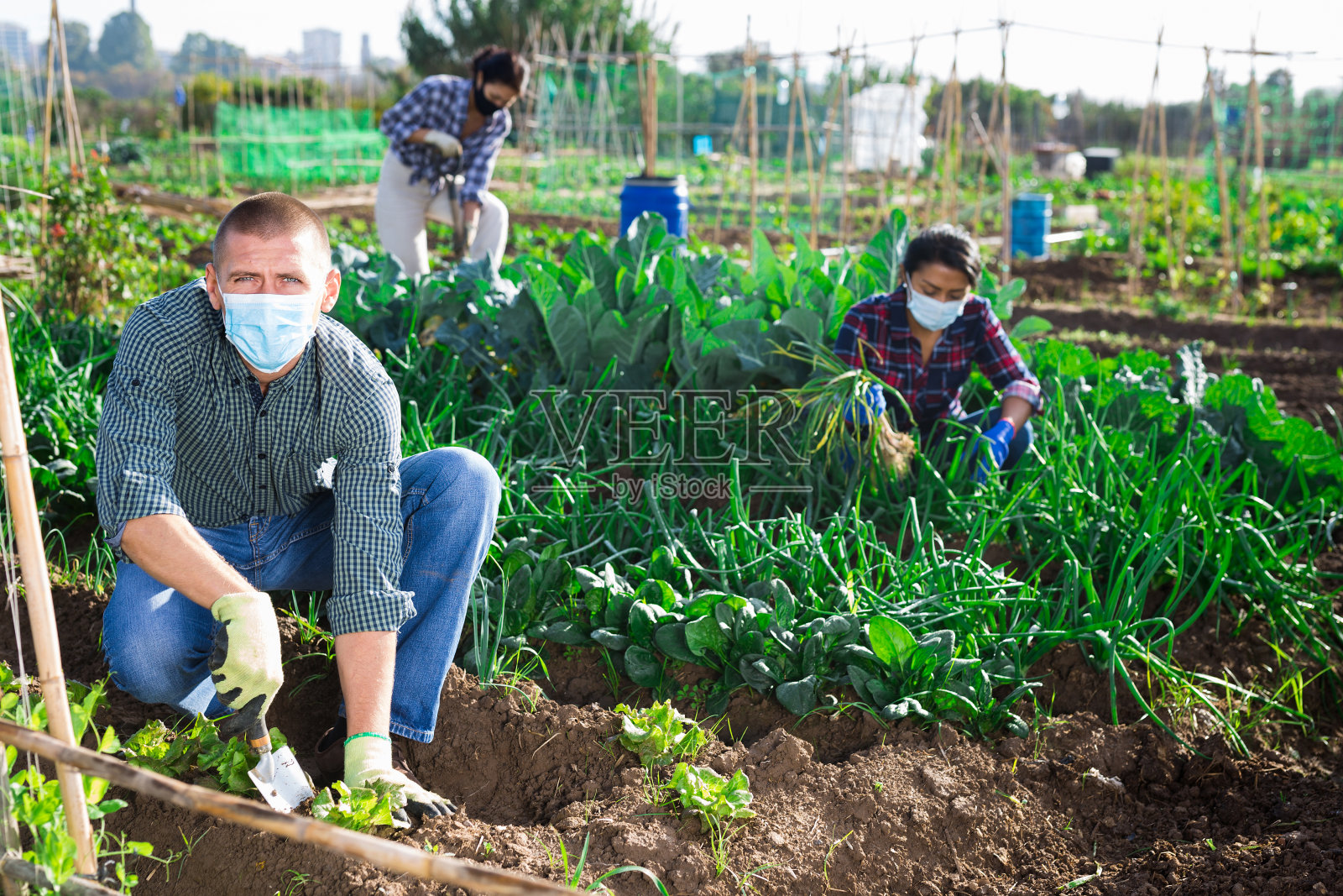 戴着防护面具的男子在农田里杂草丛生照片摄影图片