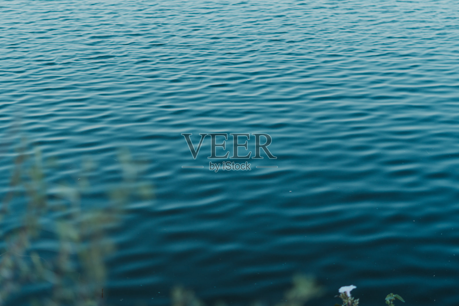 特写镜头的水的湖照片摄影图片