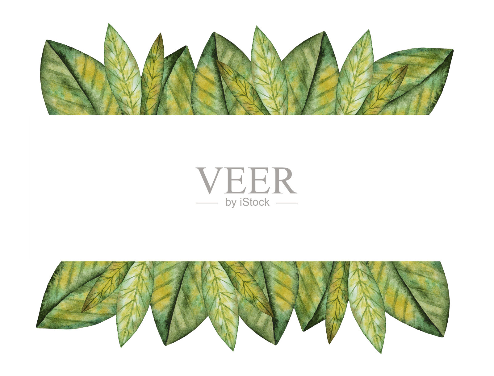 水彩插图插画图片素材