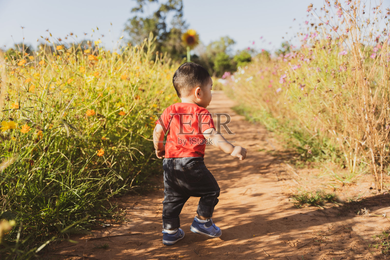 亚洲小男孩走在花园里照片摄影图片