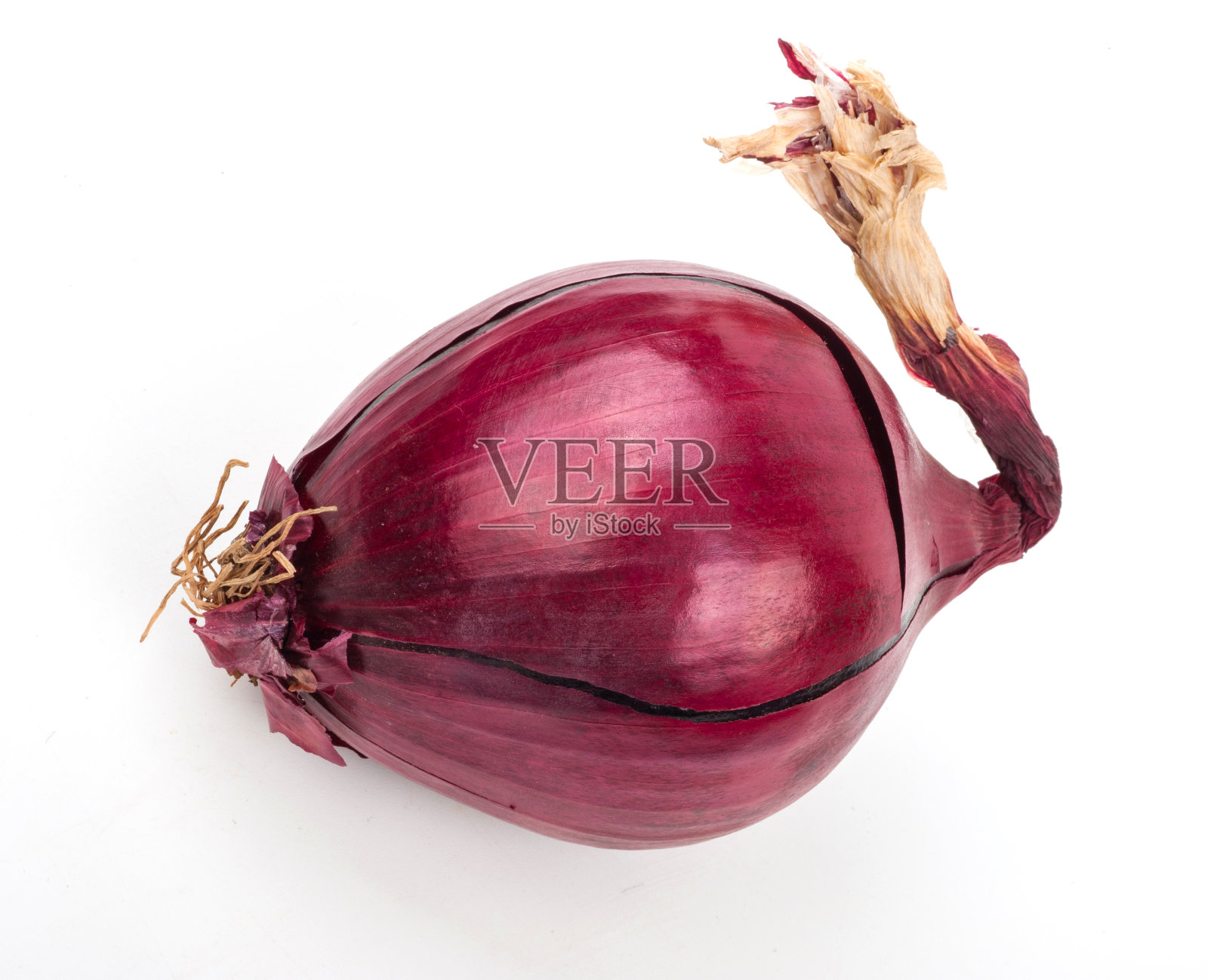 白色背景上的红洋葱照片摄影图片