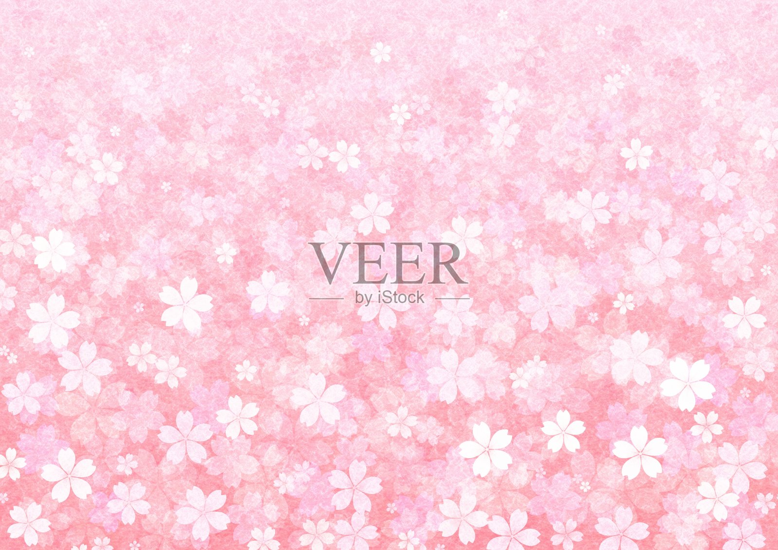 日本纸上的樱花填充屏幕的插图。插画图片素材