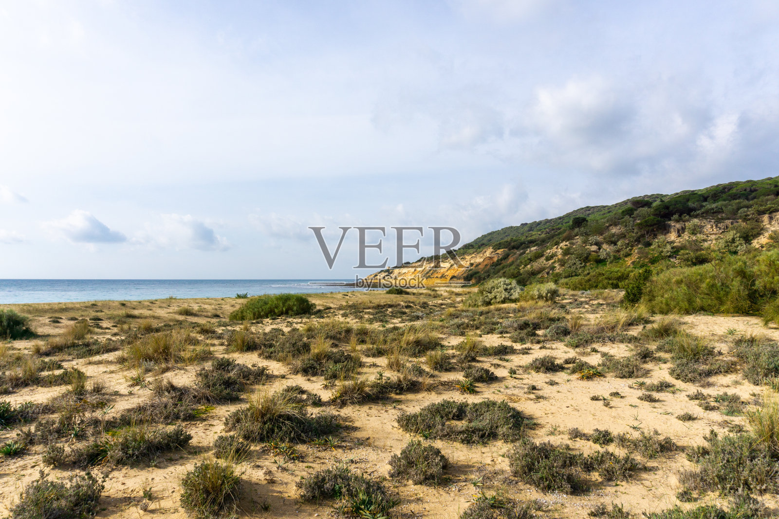 位于安达卢西亚巴巴多斯附近的拉布雷纳自然公园照片摄影图片