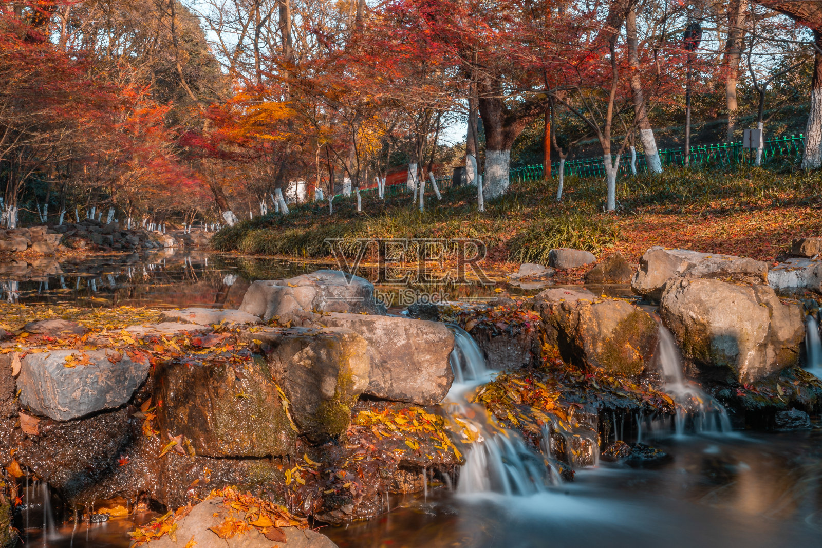 秋天的小溪和瀑布照片摄影图片