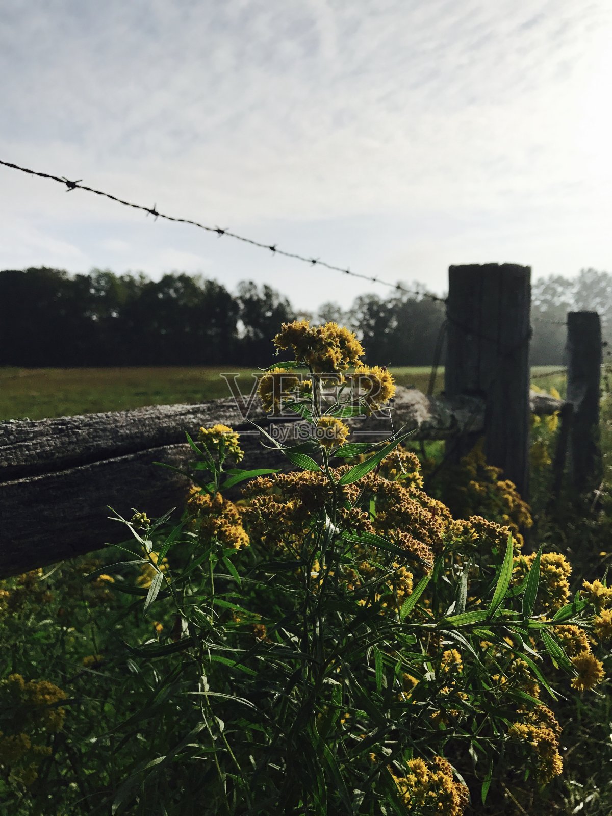 俄亥俄州的性质照片摄影图片