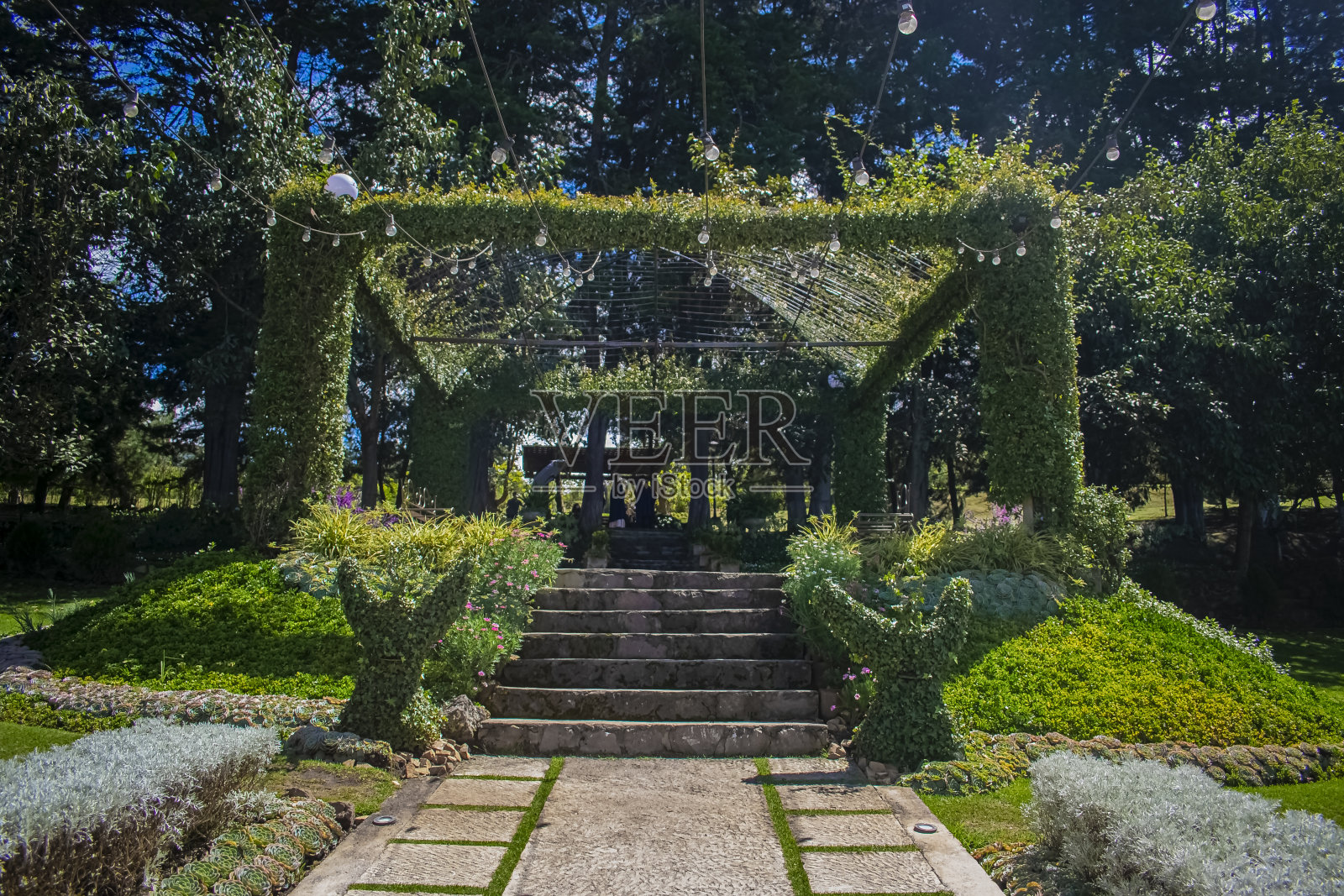 用鲜花和道路装饰的Gal画廊的事件照片摄影图片