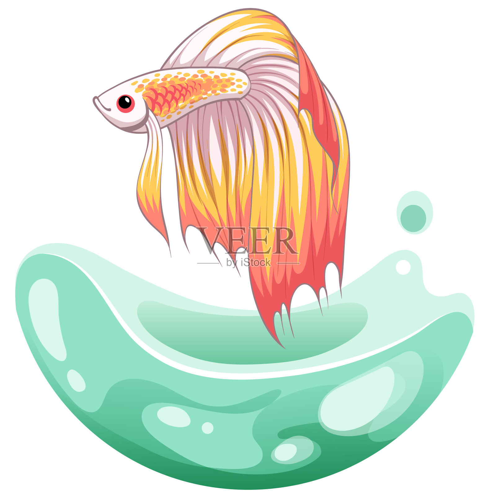 手绘矢量素描斗鱼，色彩斑斓的花式扇尾鱼。水族馆鱼类。插图。插画图片素材