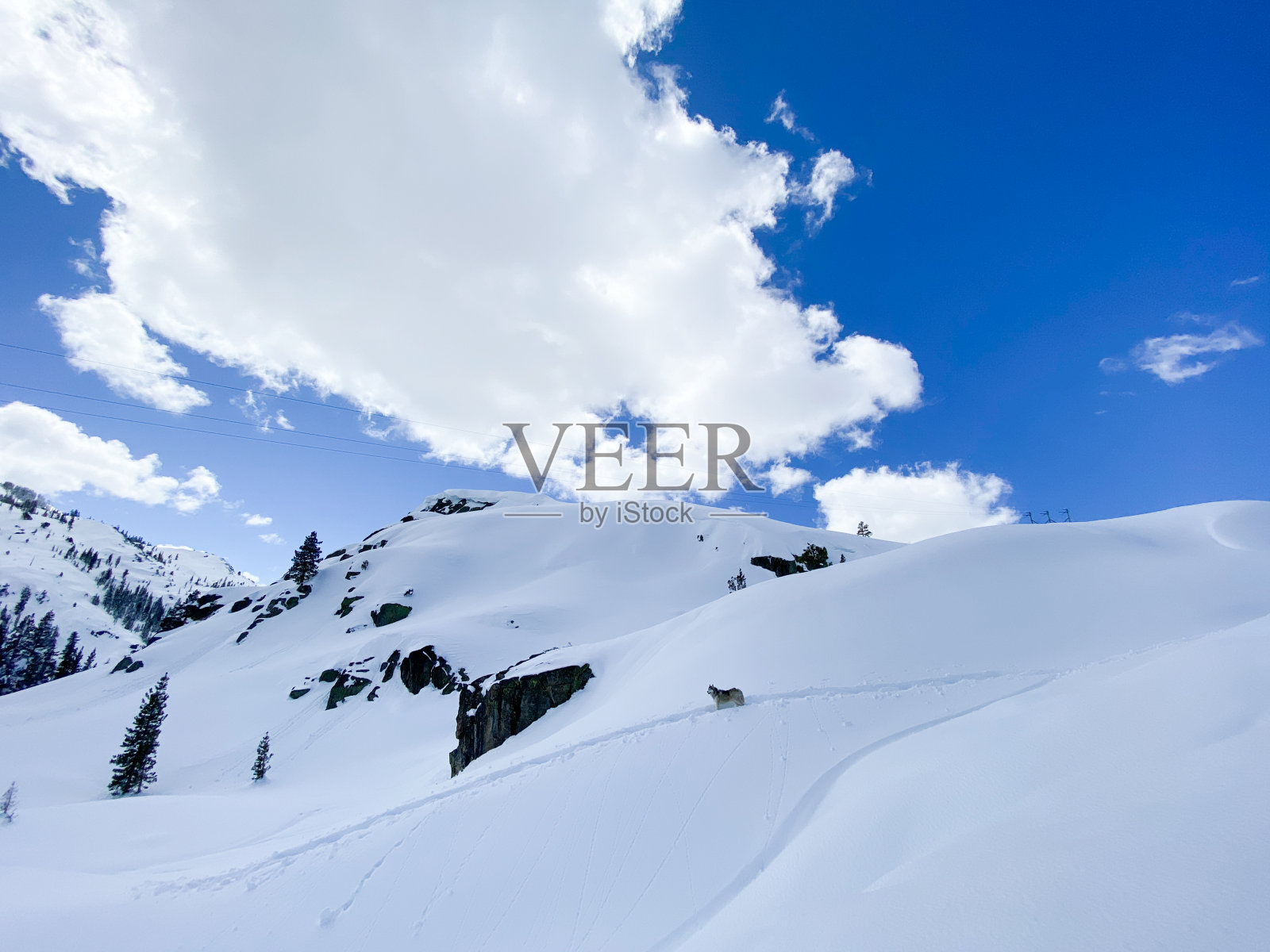 好玩的雪冒险在特拉基山，加利福尼亚照片摄影图片