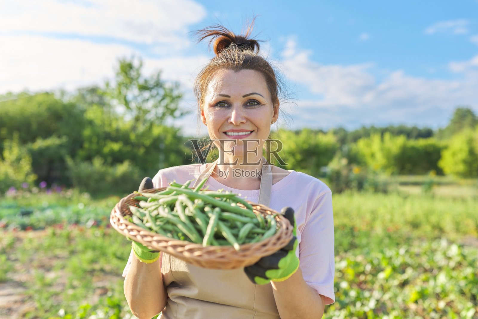 农家女园丁带着一篮新鲜的绿菜豆照片摄影图片