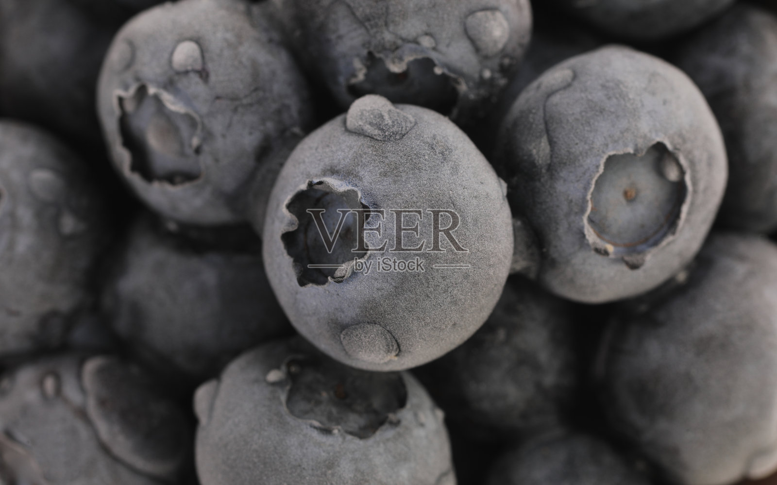 背景和纹理冰冻蓝莓特写微距照片摄影图片