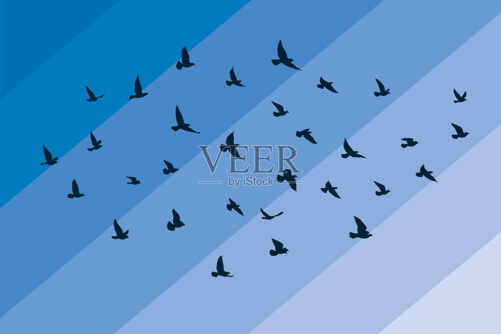 飞翔的鸟儿在白色的背景上剪影。矢量插图。孤立的鸟飞。纹身和壁纸背景设计。插画图片素材