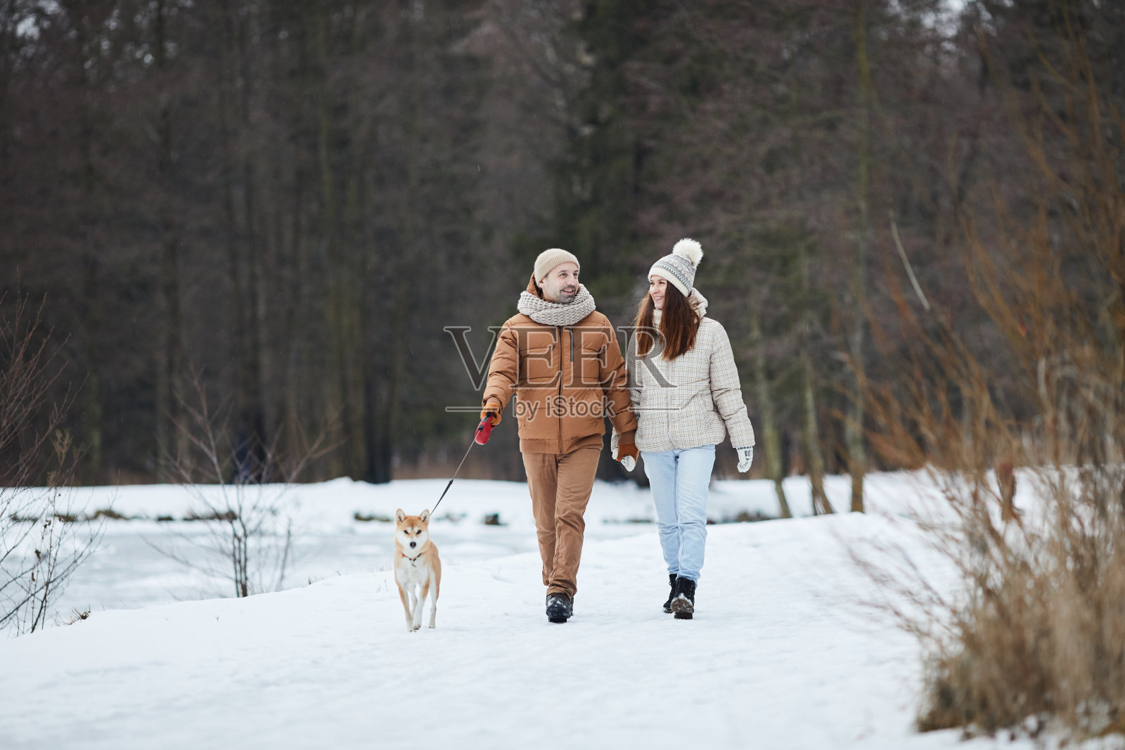 快乐的成年夫妇在冬天遛狗照片摄影图片