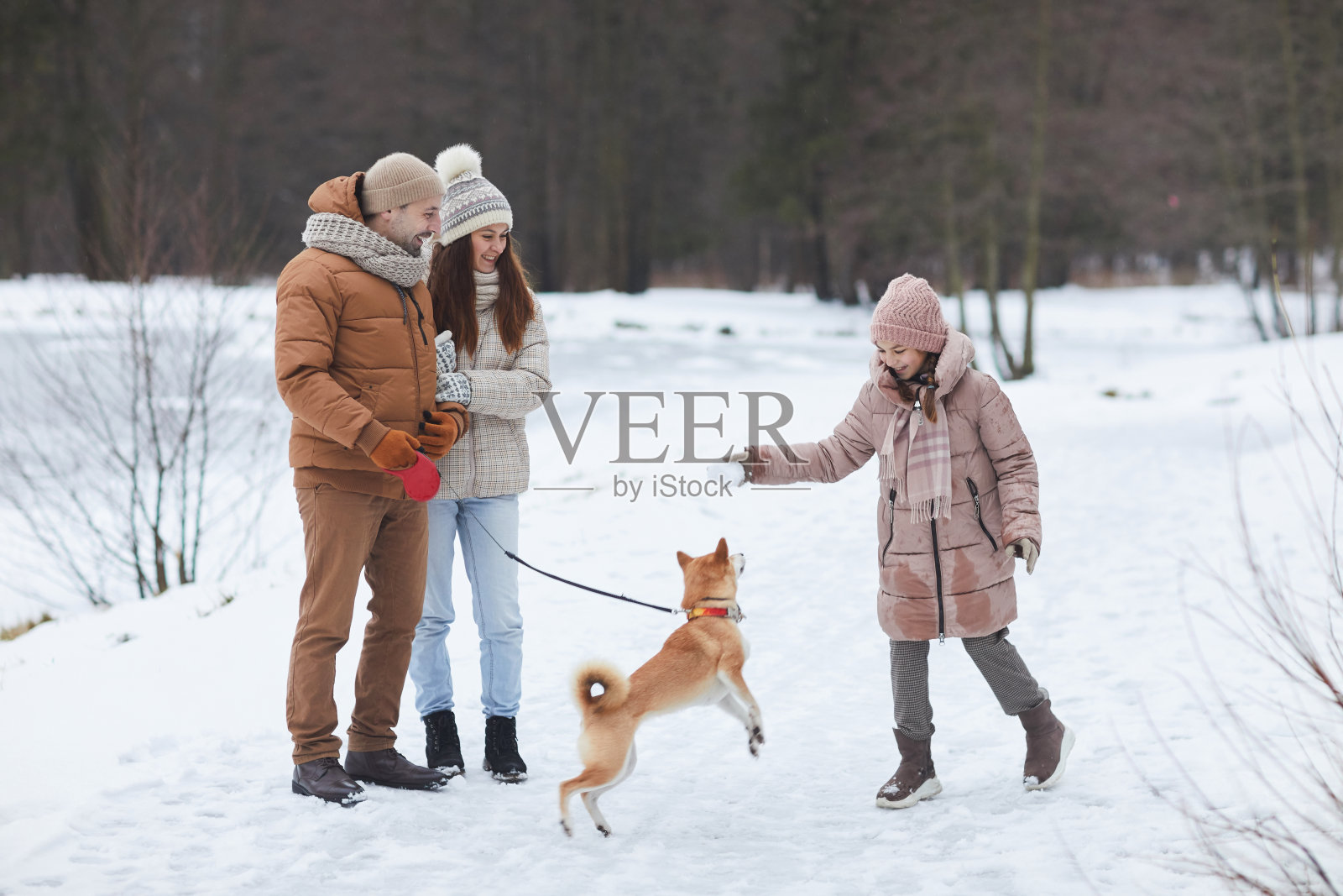 快乐的家庭遛狗在冬天照片摄影图片
