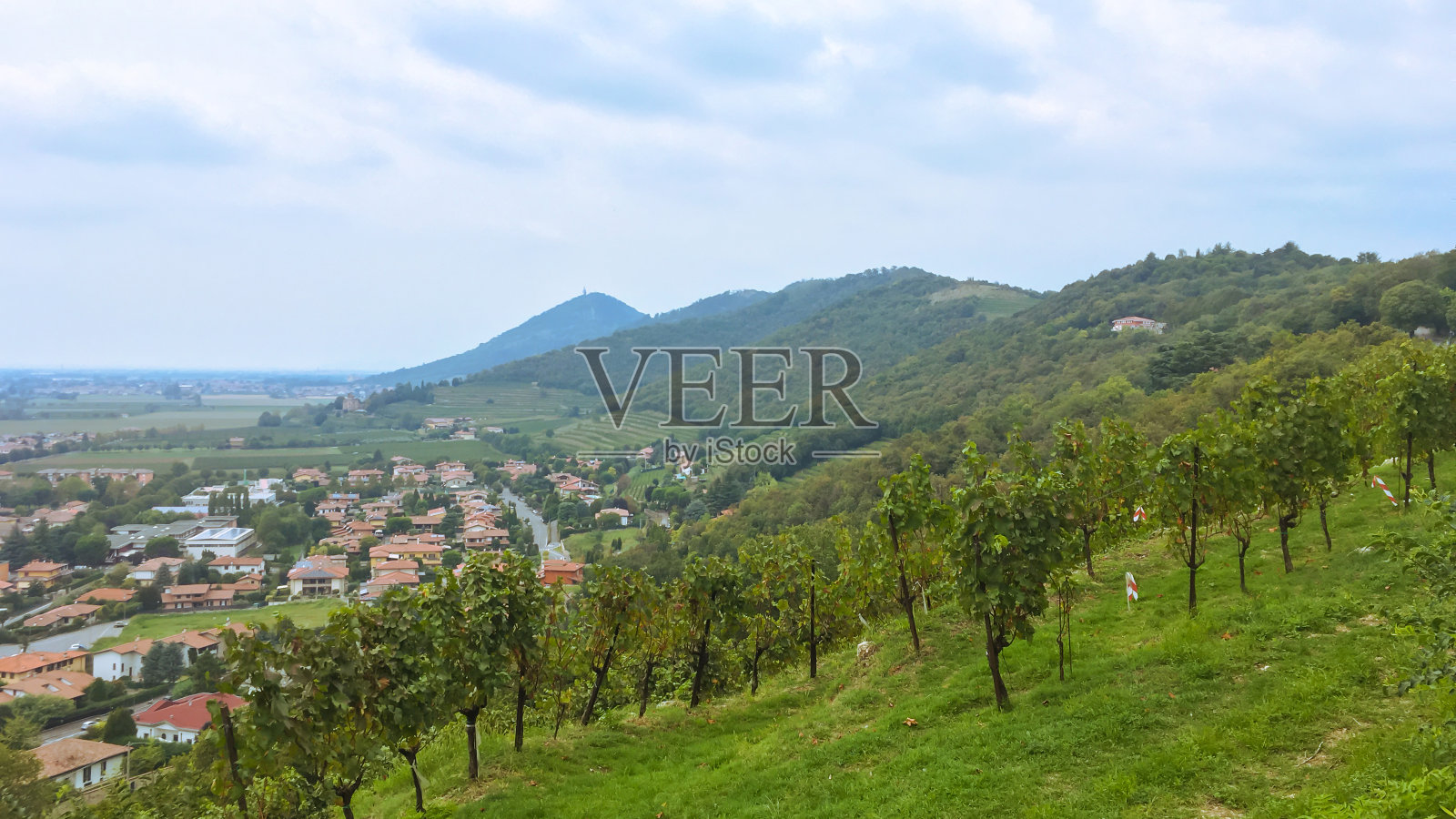 小葡萄园，孤儿山的Franciacorta照片摄影图片