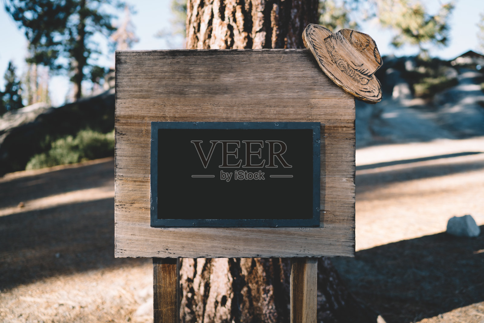 森林中的空白木制黑板照片摄影图片