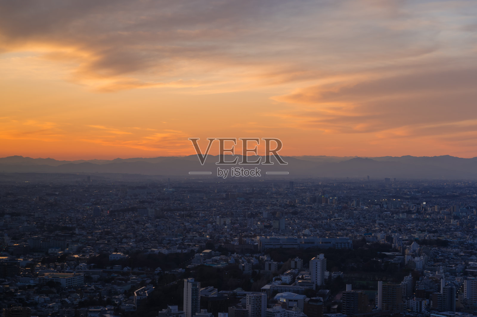 从东京涩谷区看到的东京夜景。照片摄影图片