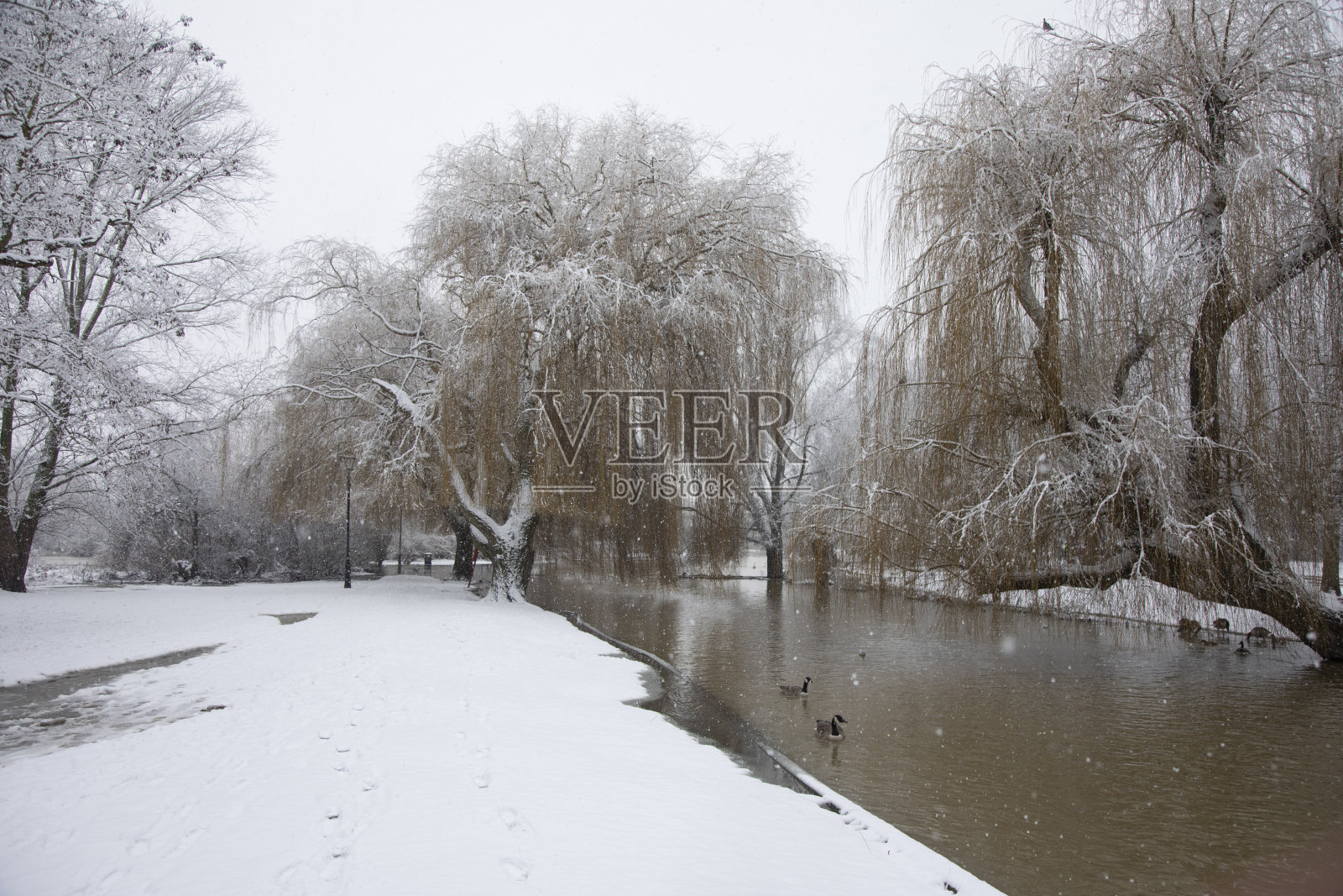 2021年冬天的一天照片摄影图片