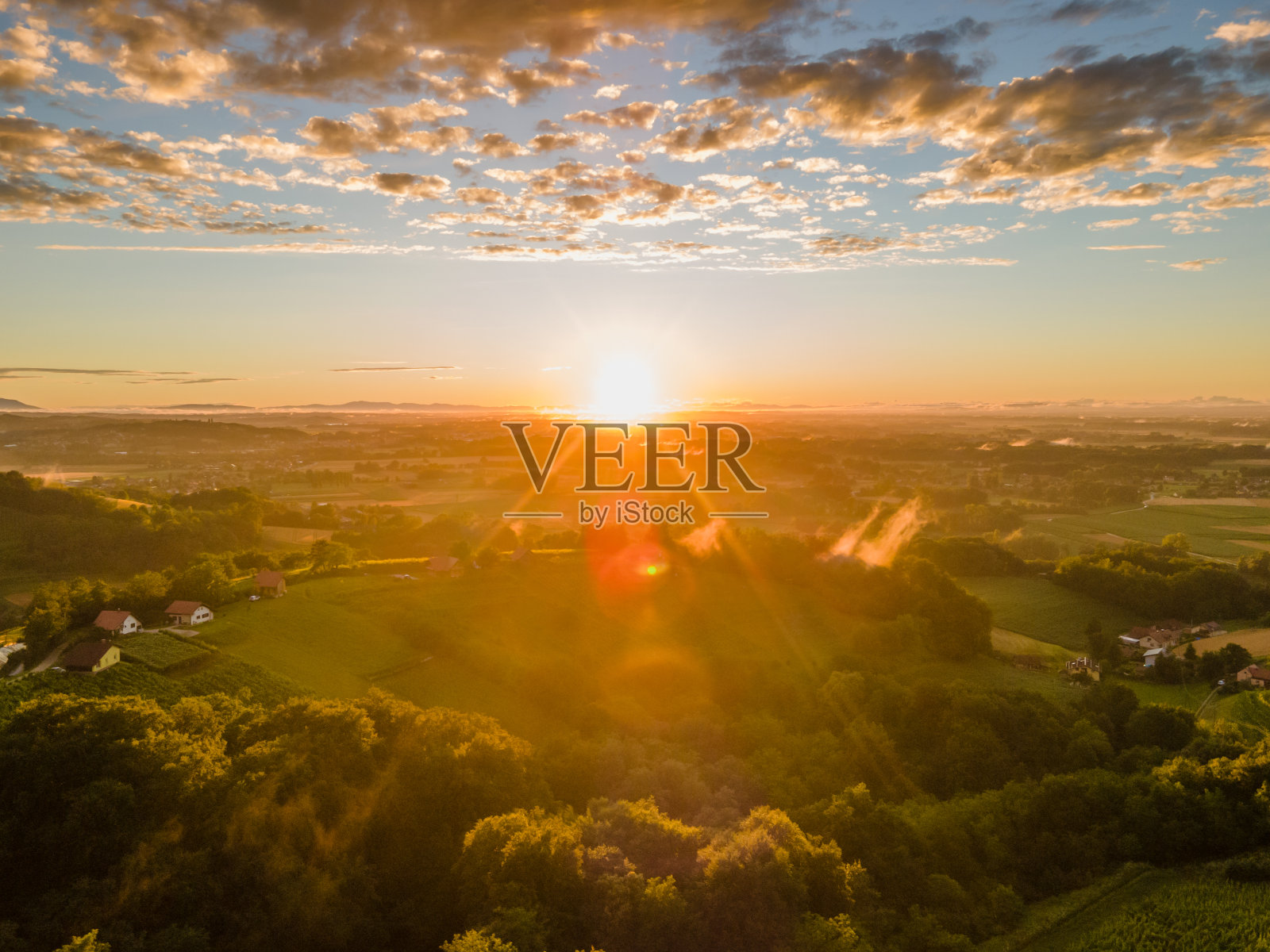 日落时分美丽的葡萄园照片摄影图片