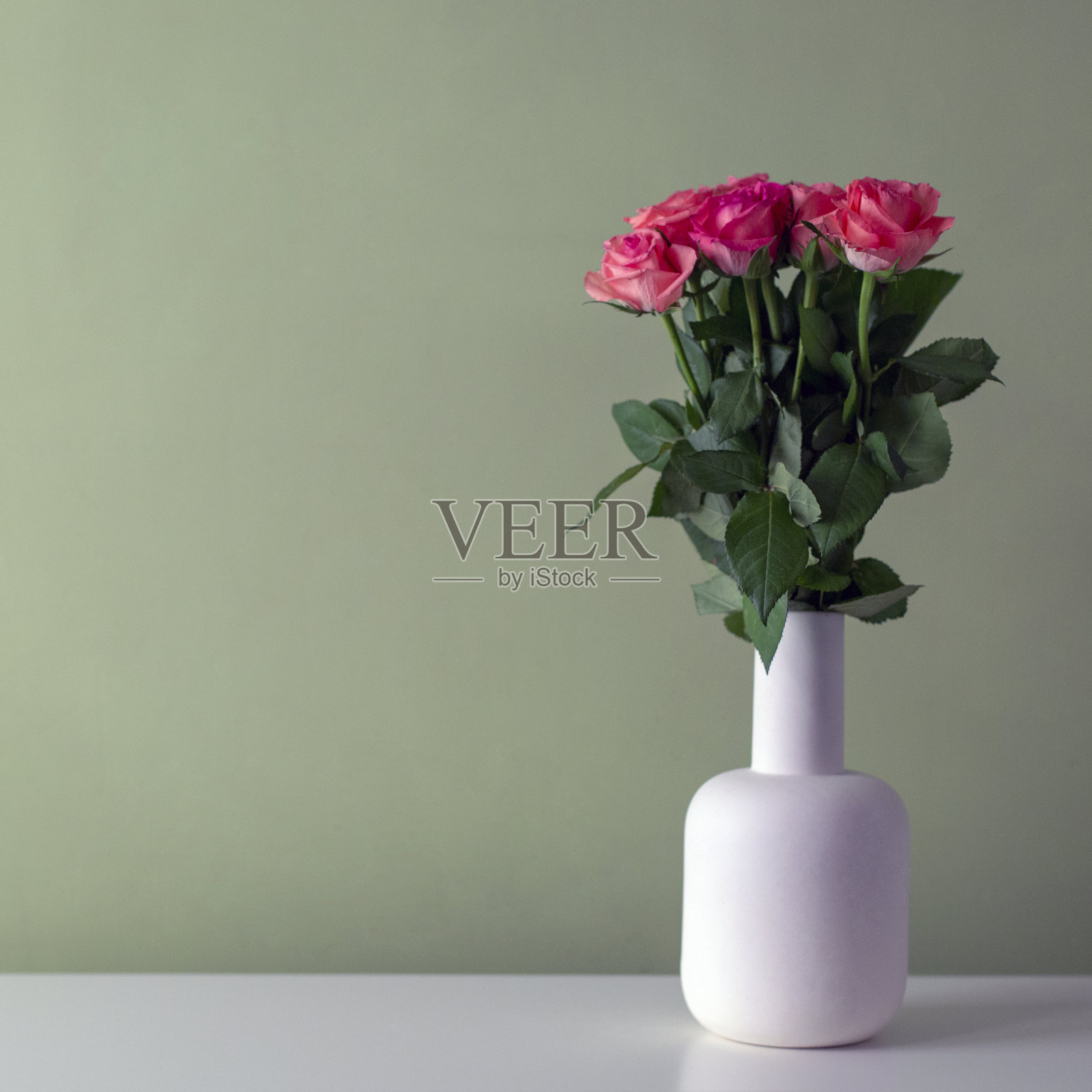 玫瑰照片摄影图片