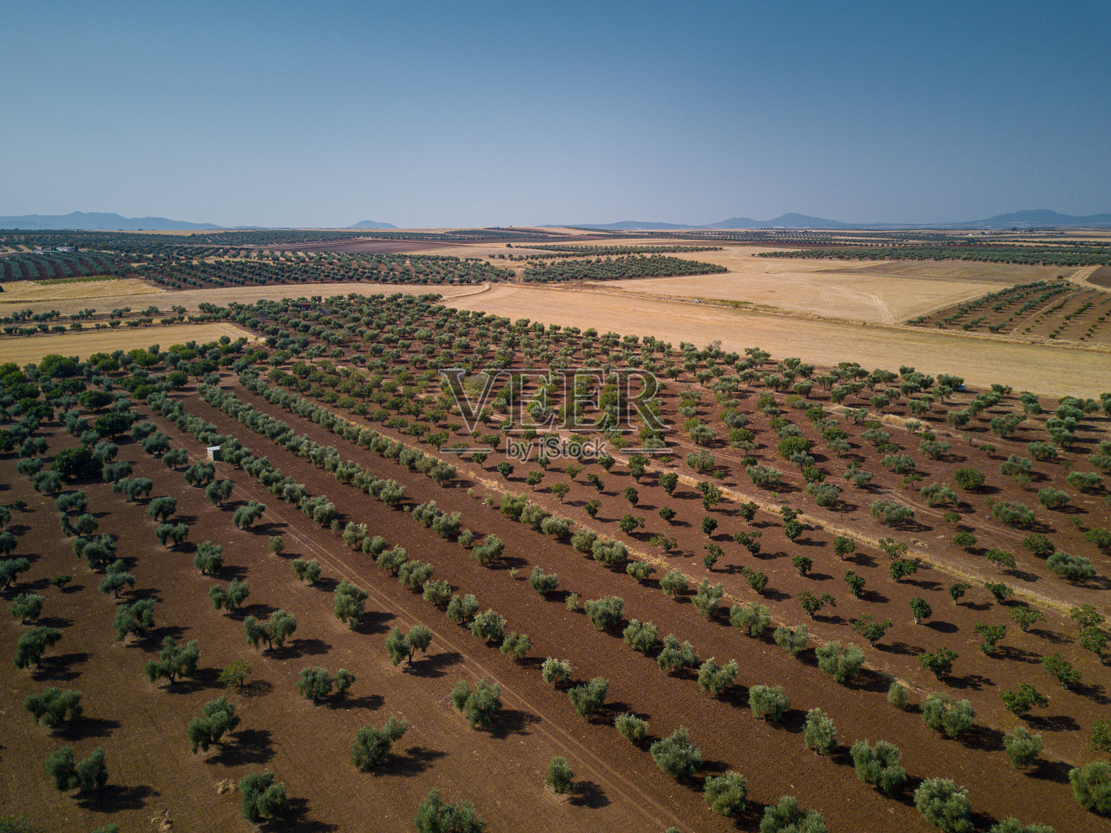 字段照片摄影图片